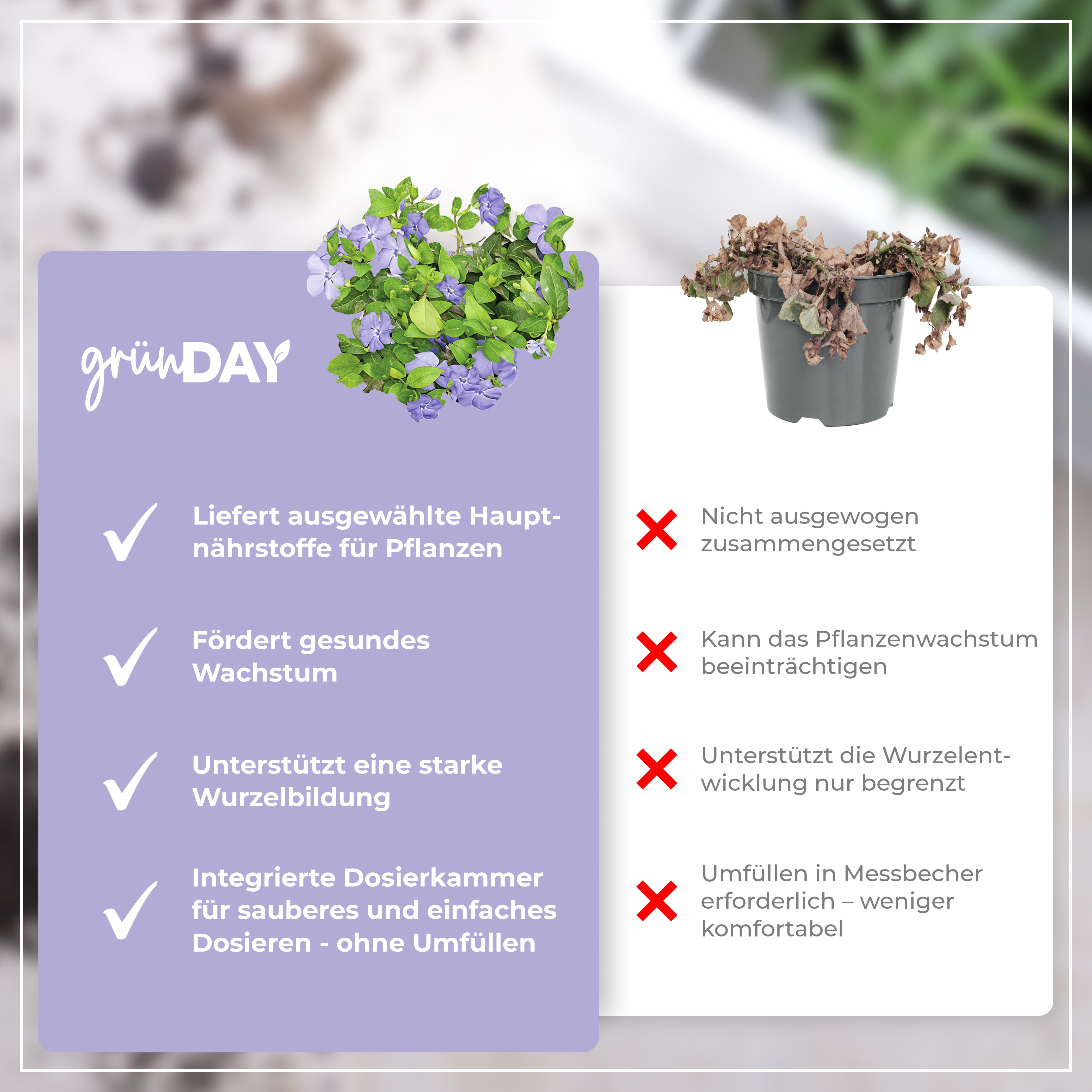 Gründay Bodendeckerdünger – Produktansicht 6