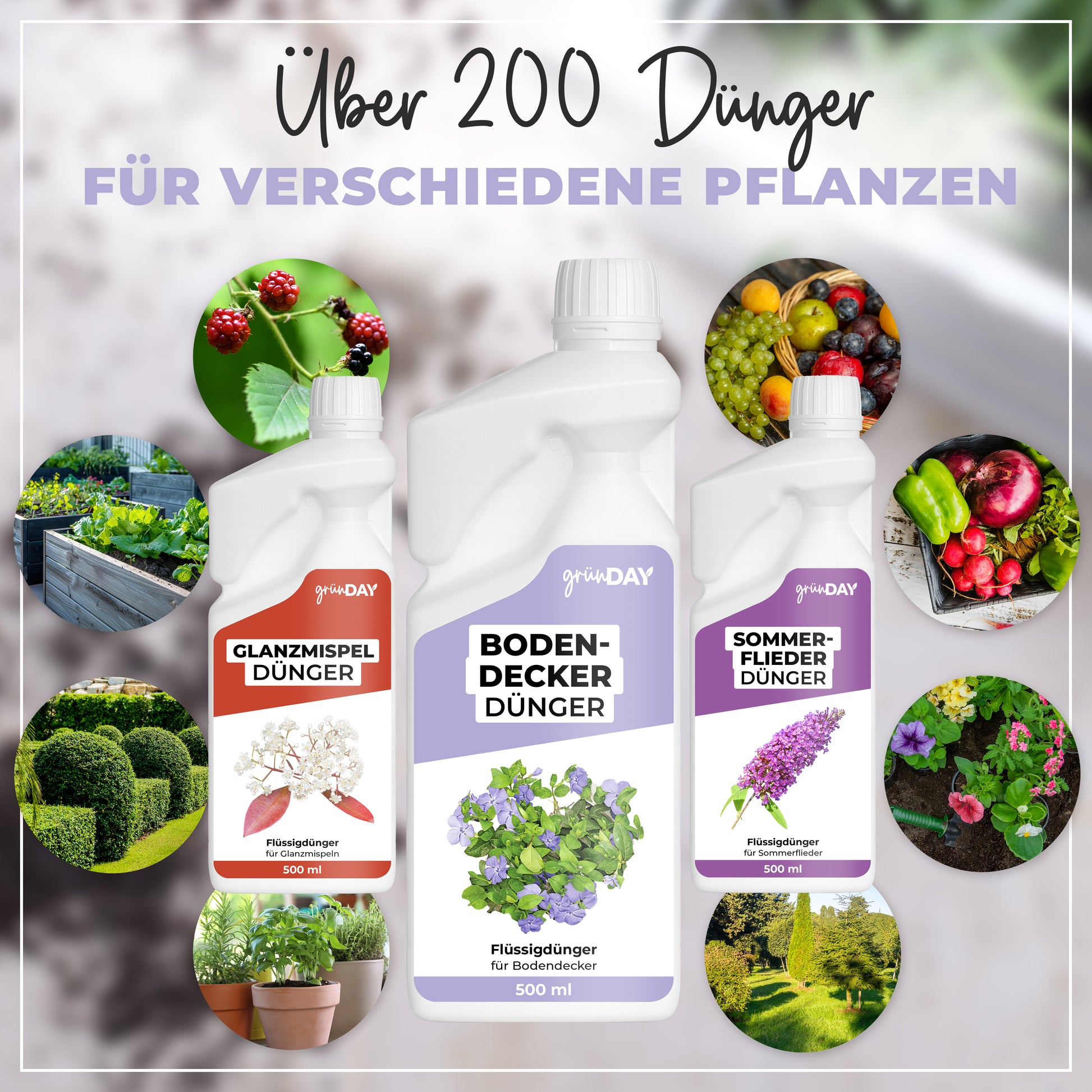 Gründay Bodendeckerdünger – Produktansicht 7