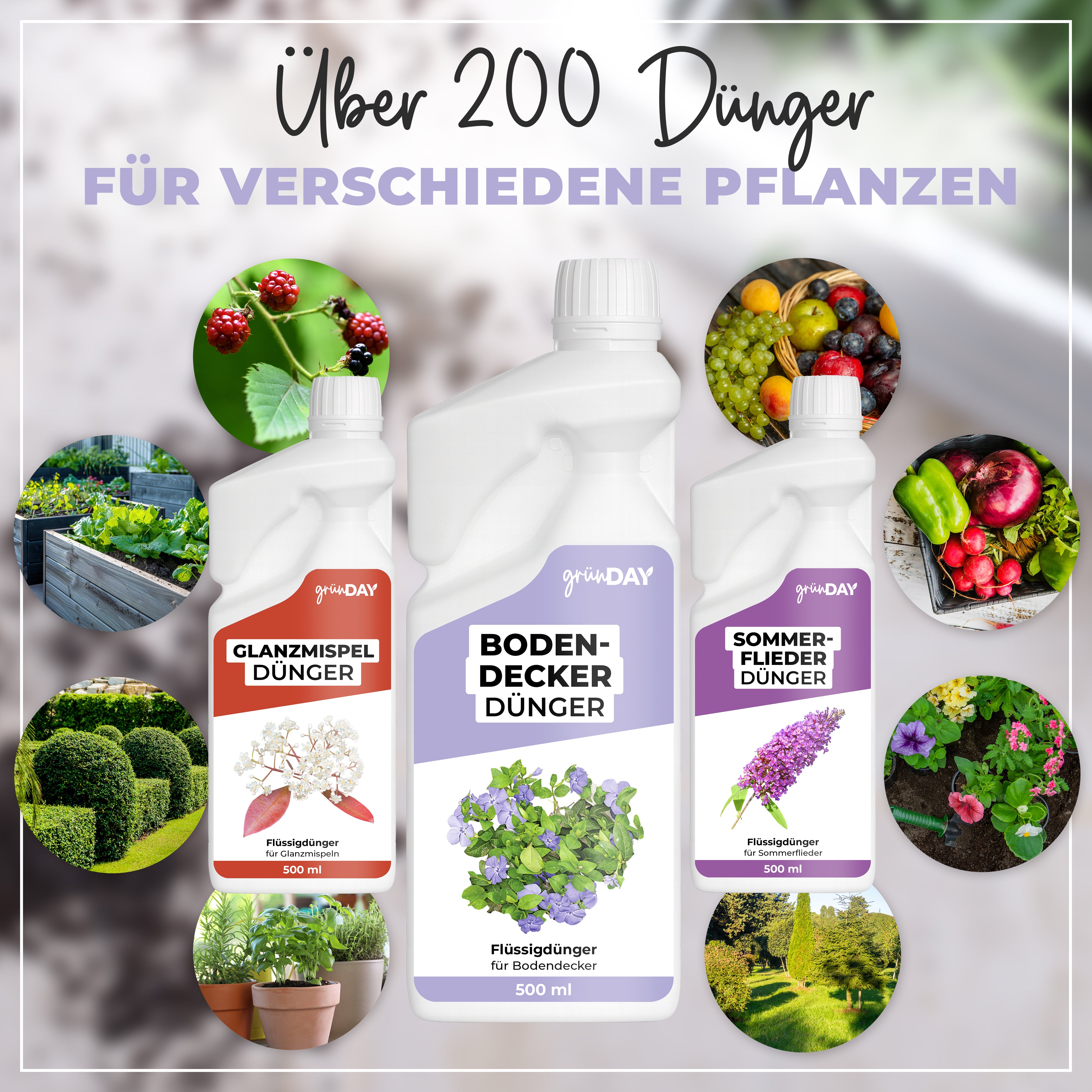 Gründay Bodendeckerdünger – Produktansicht 7