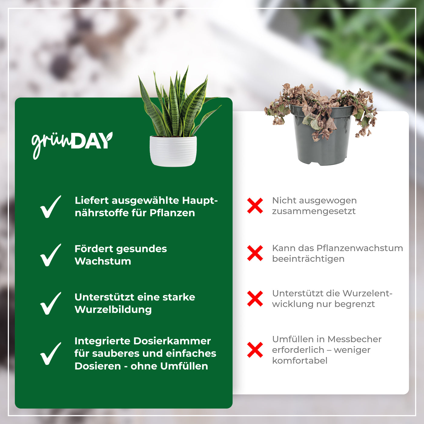 Gründay Bogenhanfdünger – Produktansicht 6