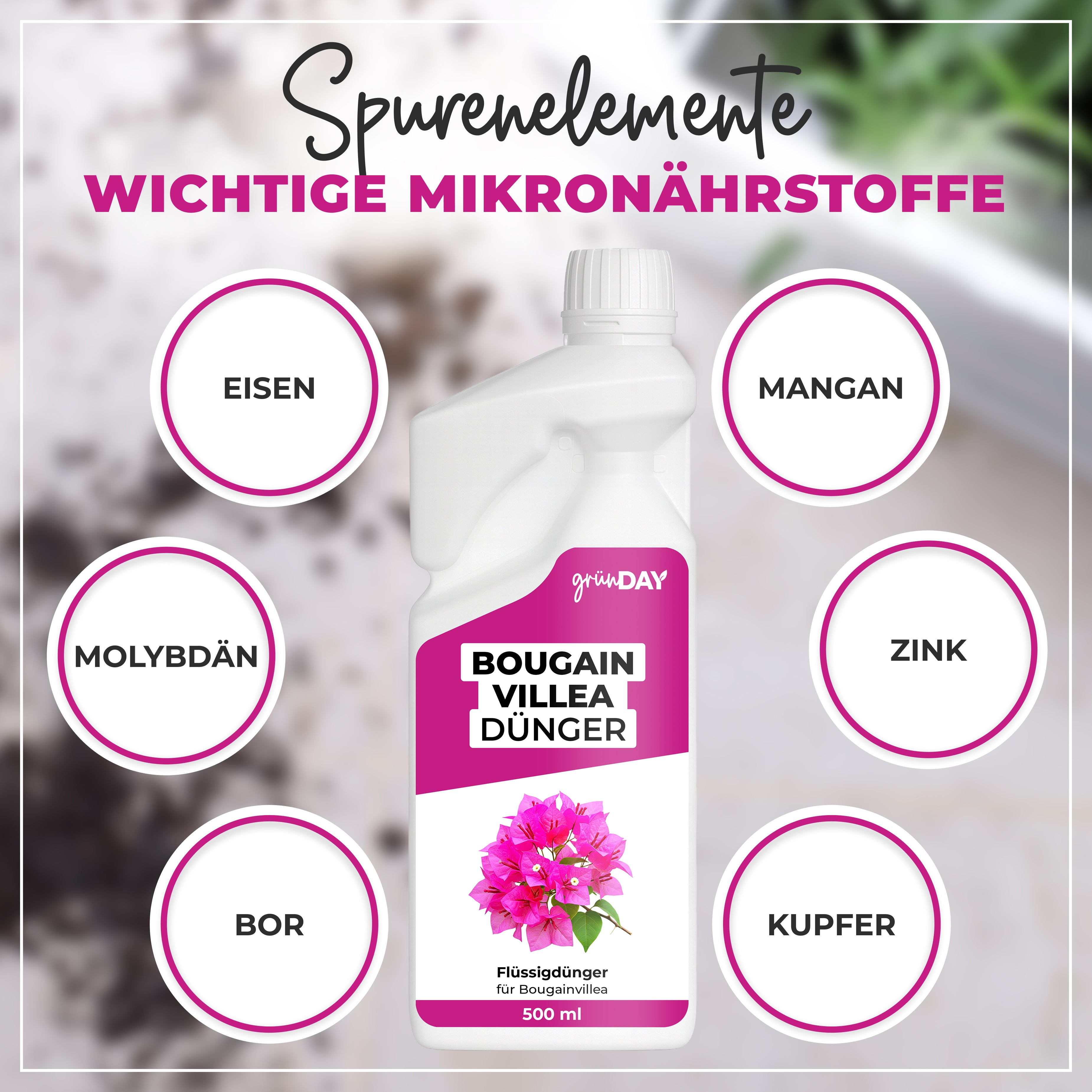 Gründay Bougainvilleadünger – Produktansicht 5