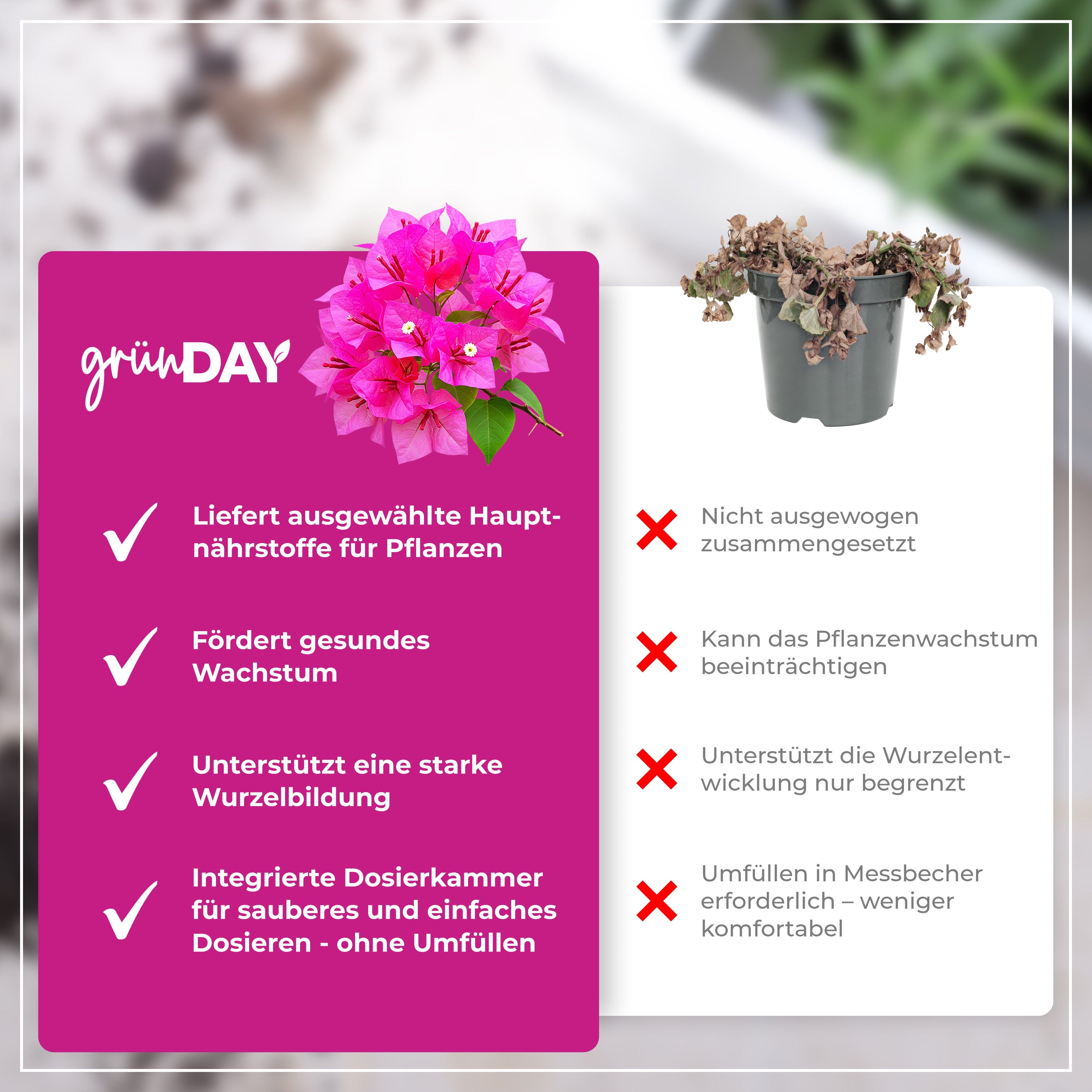Gründay Bougainvilleadünger – Produktansicht 6