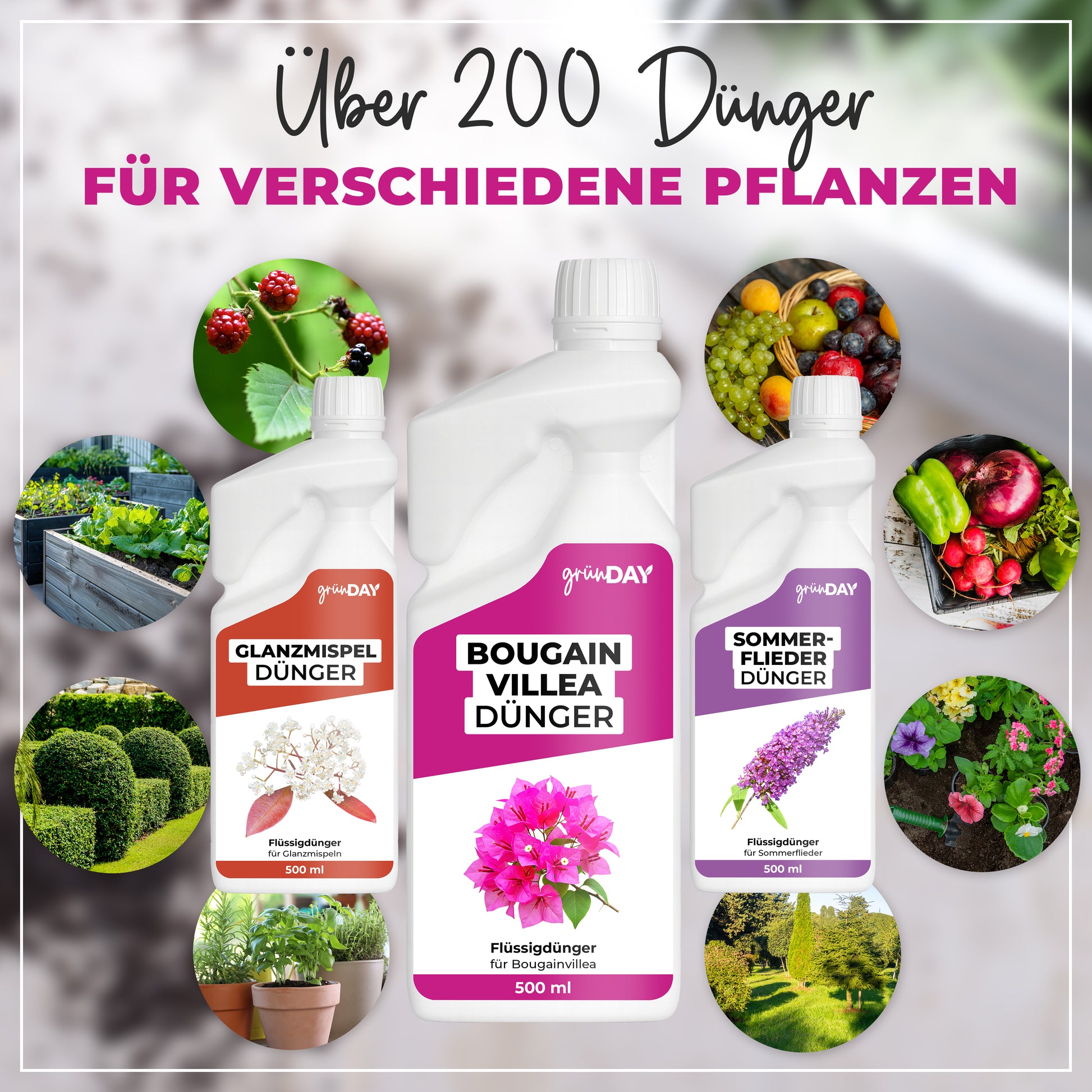 Gründay Bougainvilleadünger – Produktansicht 7