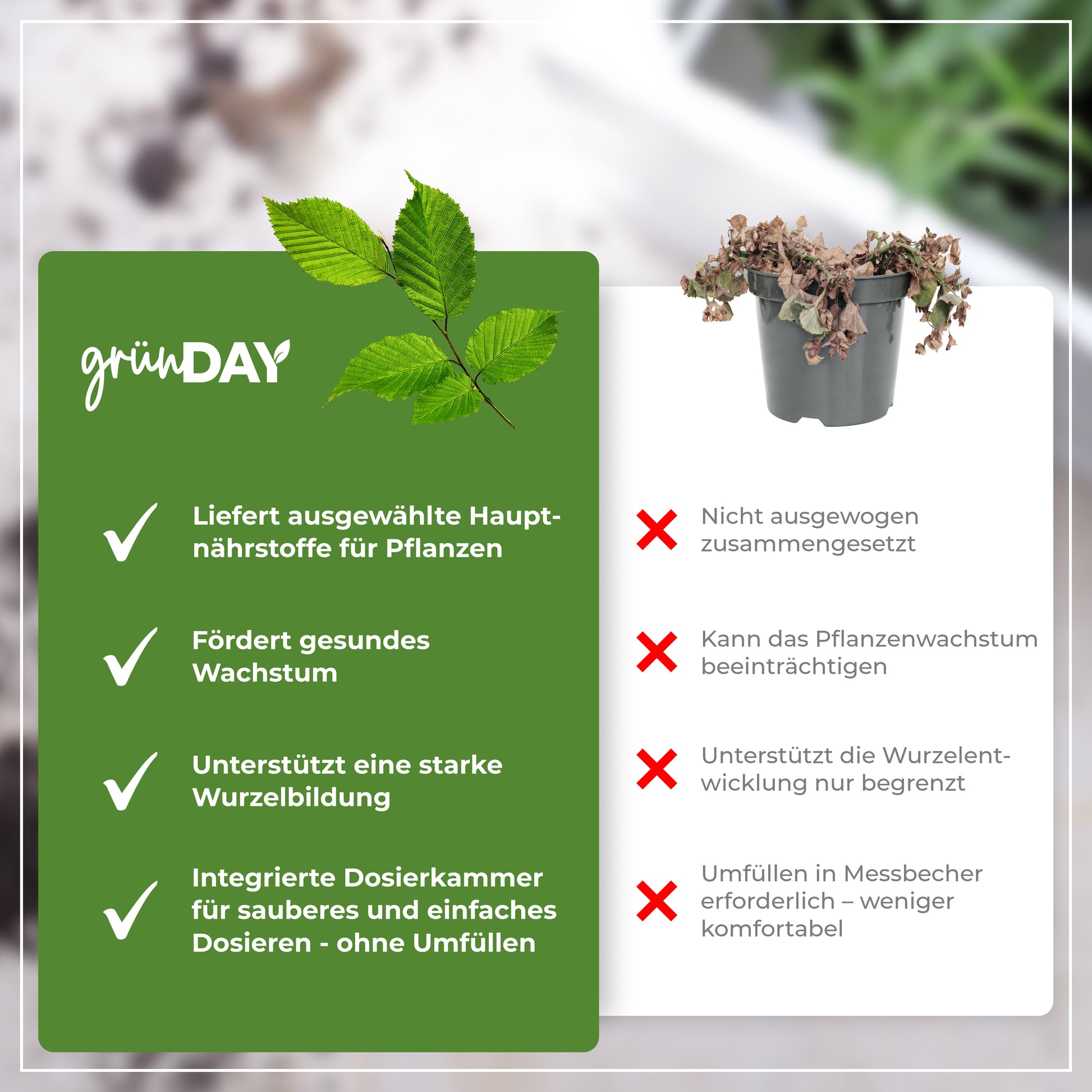 Gründay Buchenhecke Dünger – Produktansicht 6