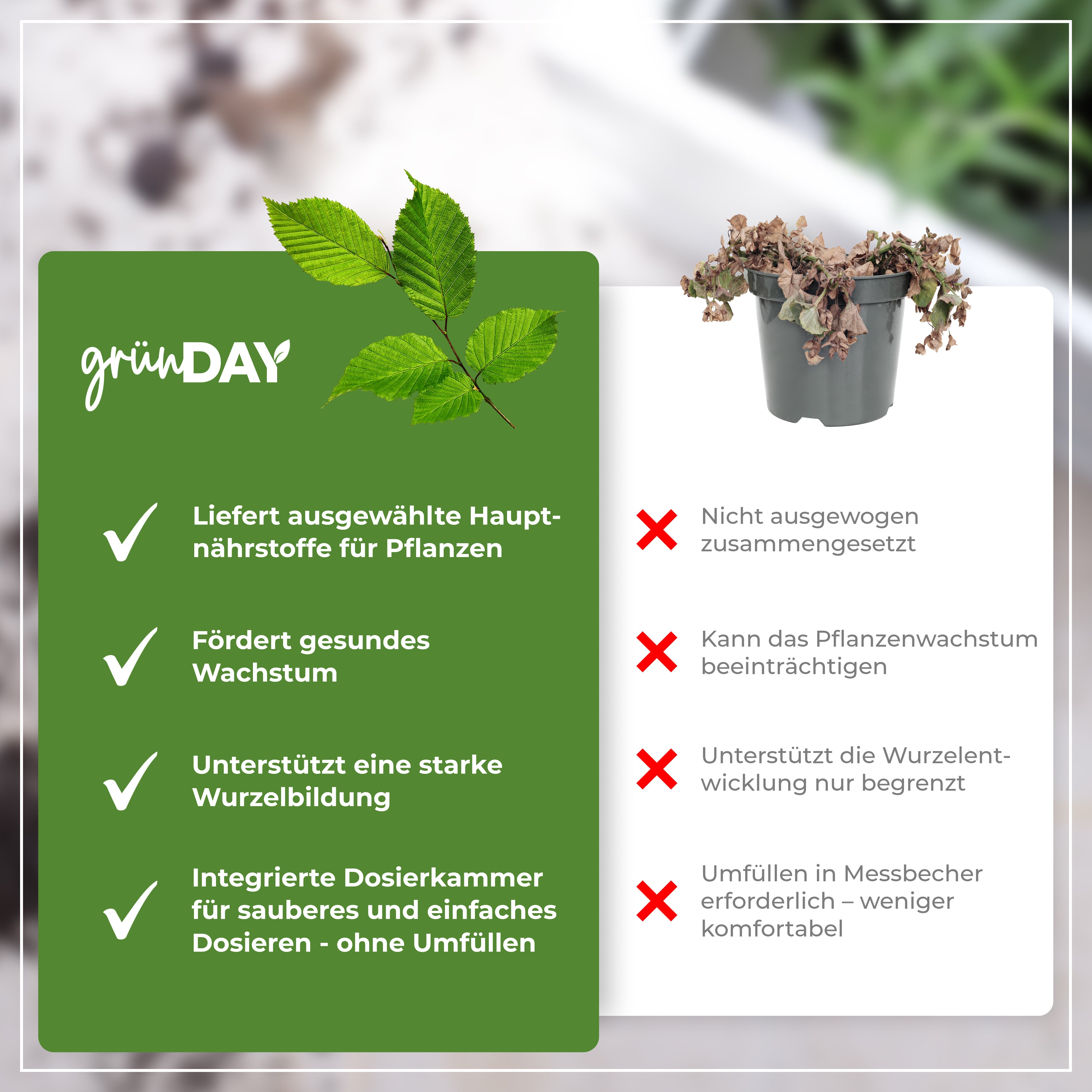 Gründay Buchenhecke Dünger – Produktansicht 6