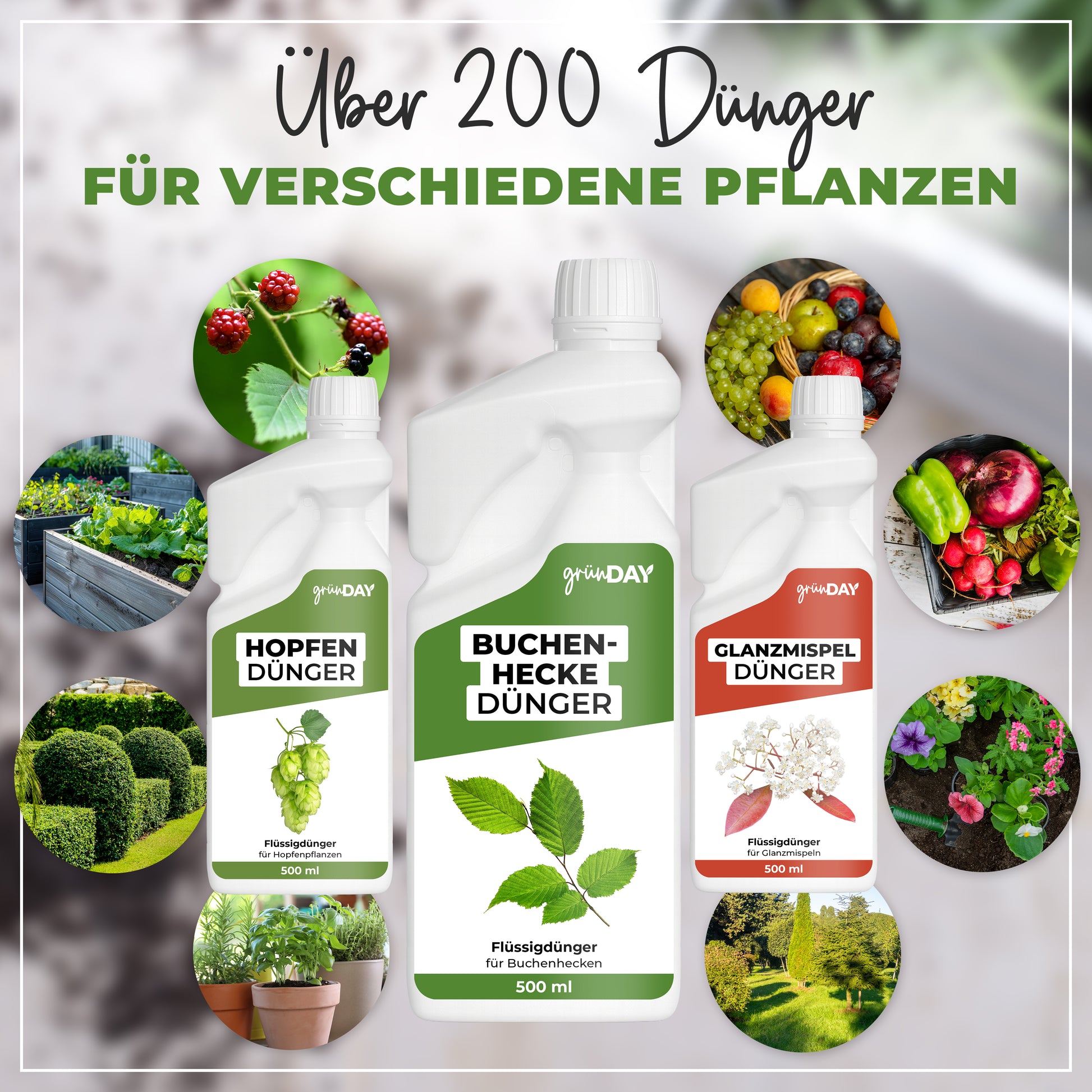 Gründay Buchenhecke Dünger – Produktansicht 7