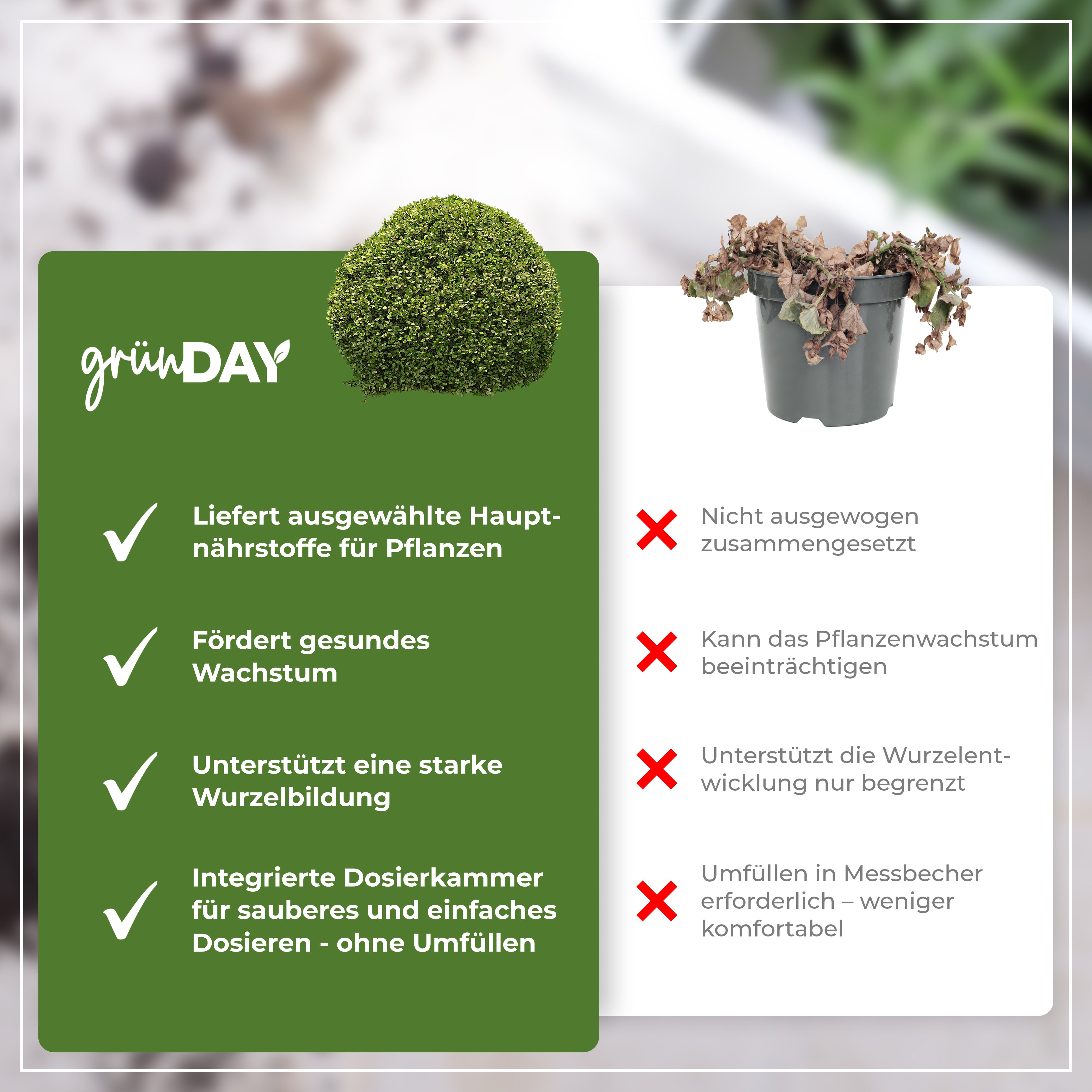 Gründay Buchsbaumdünger – Produktansicht 6