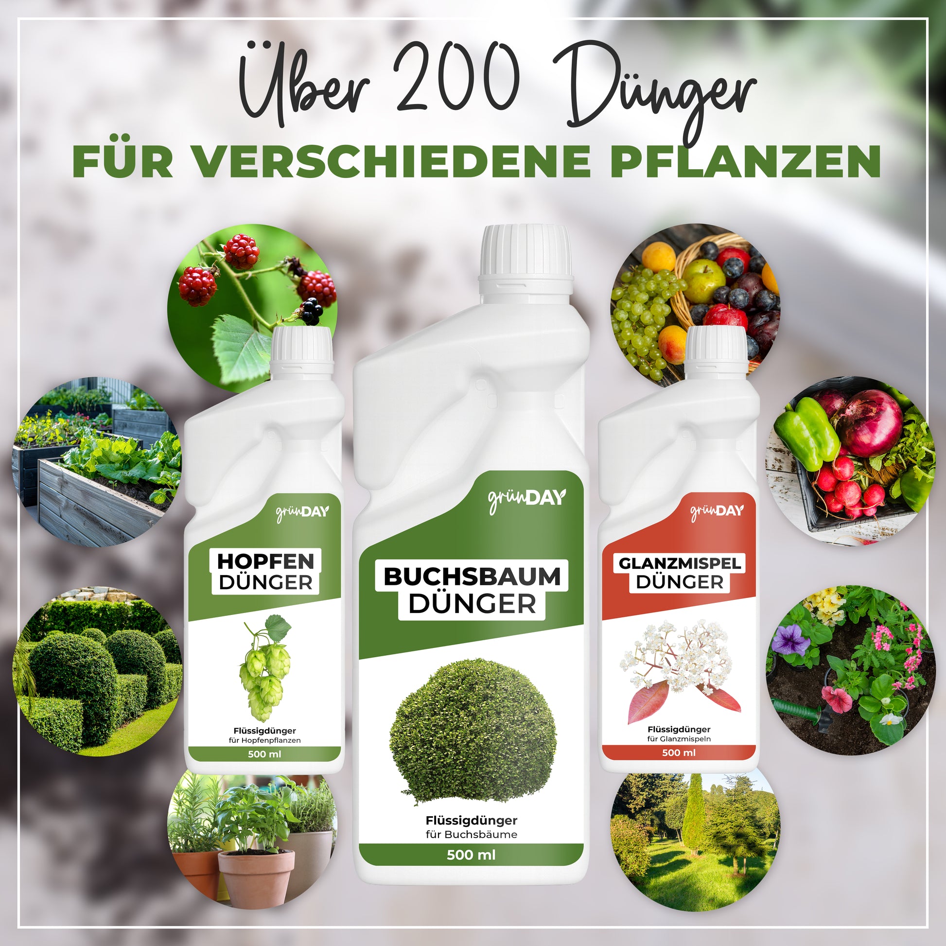 Gründay Buchsbaumdünger – Produktansicht 7