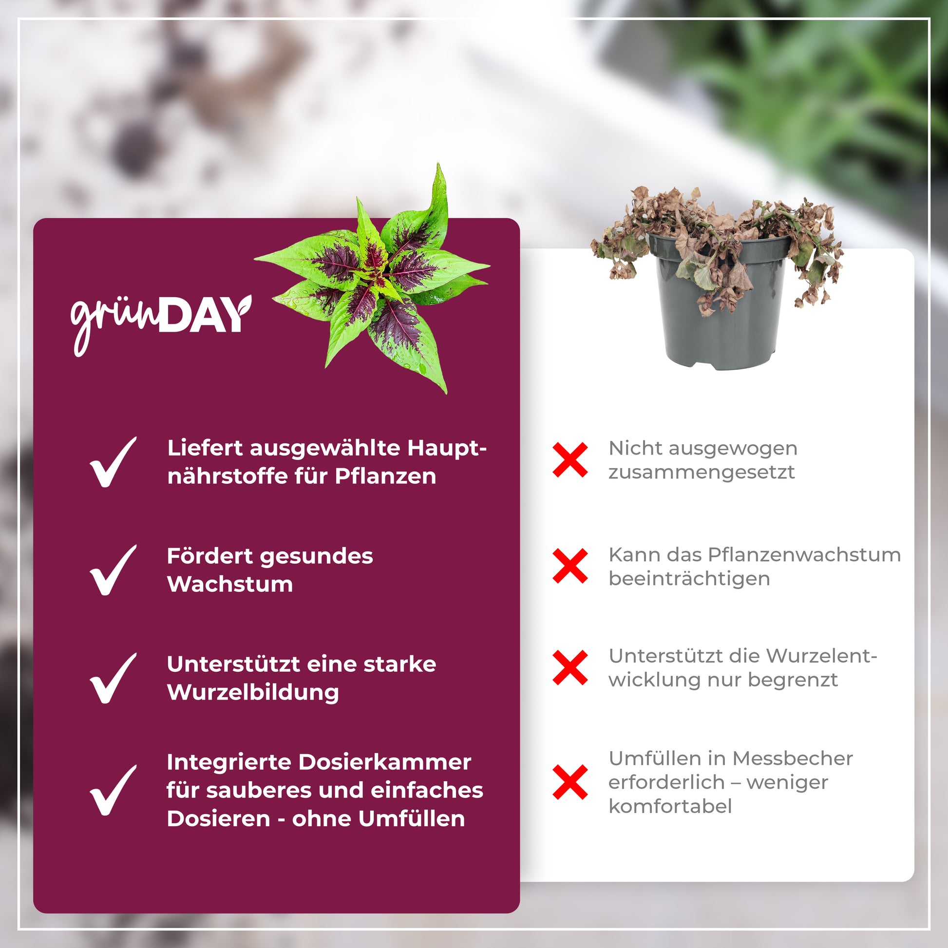 Gründay Buntnessel Dünger – Produktansicht 6
