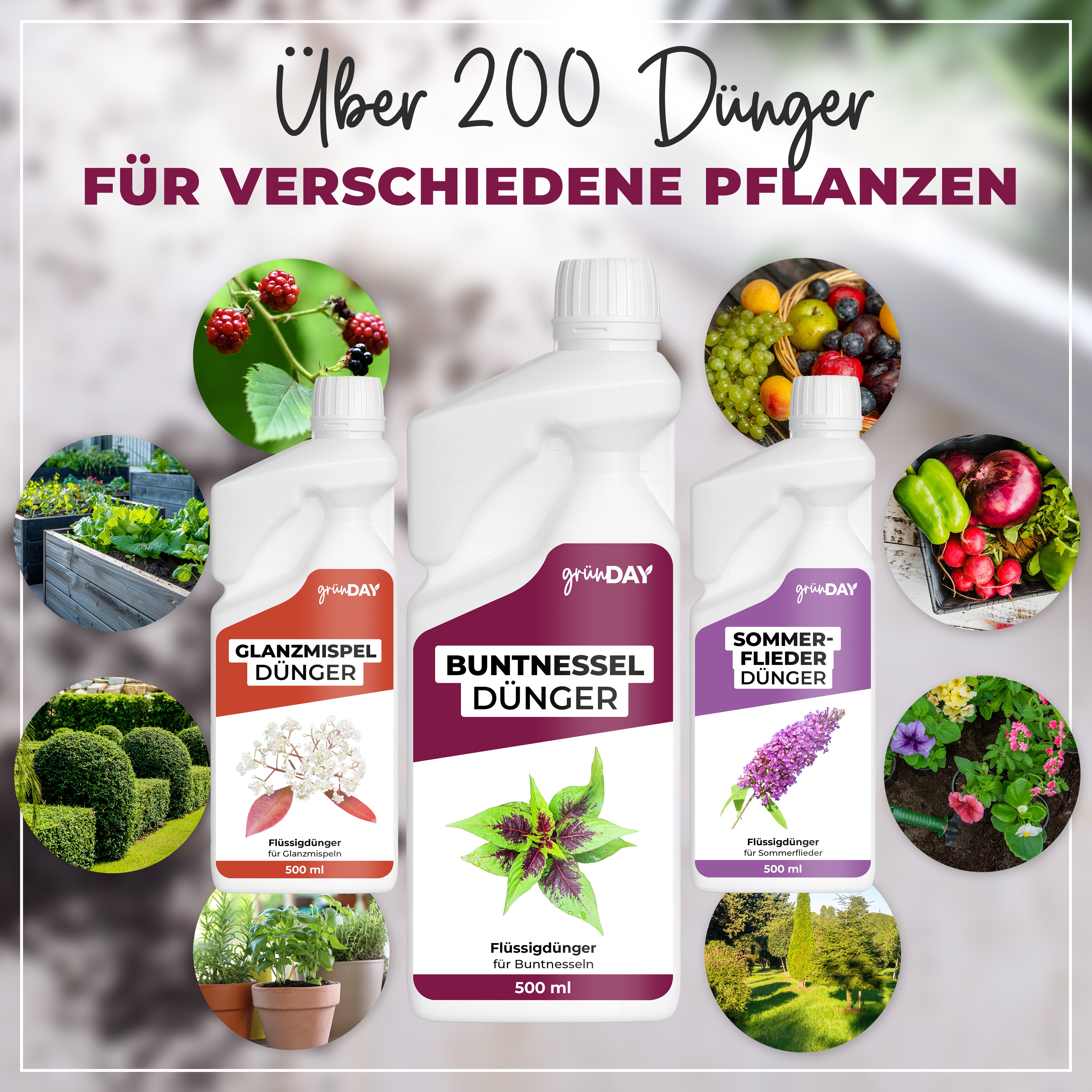 Gründay Buntnessel Dünger – Produktansicht 7
