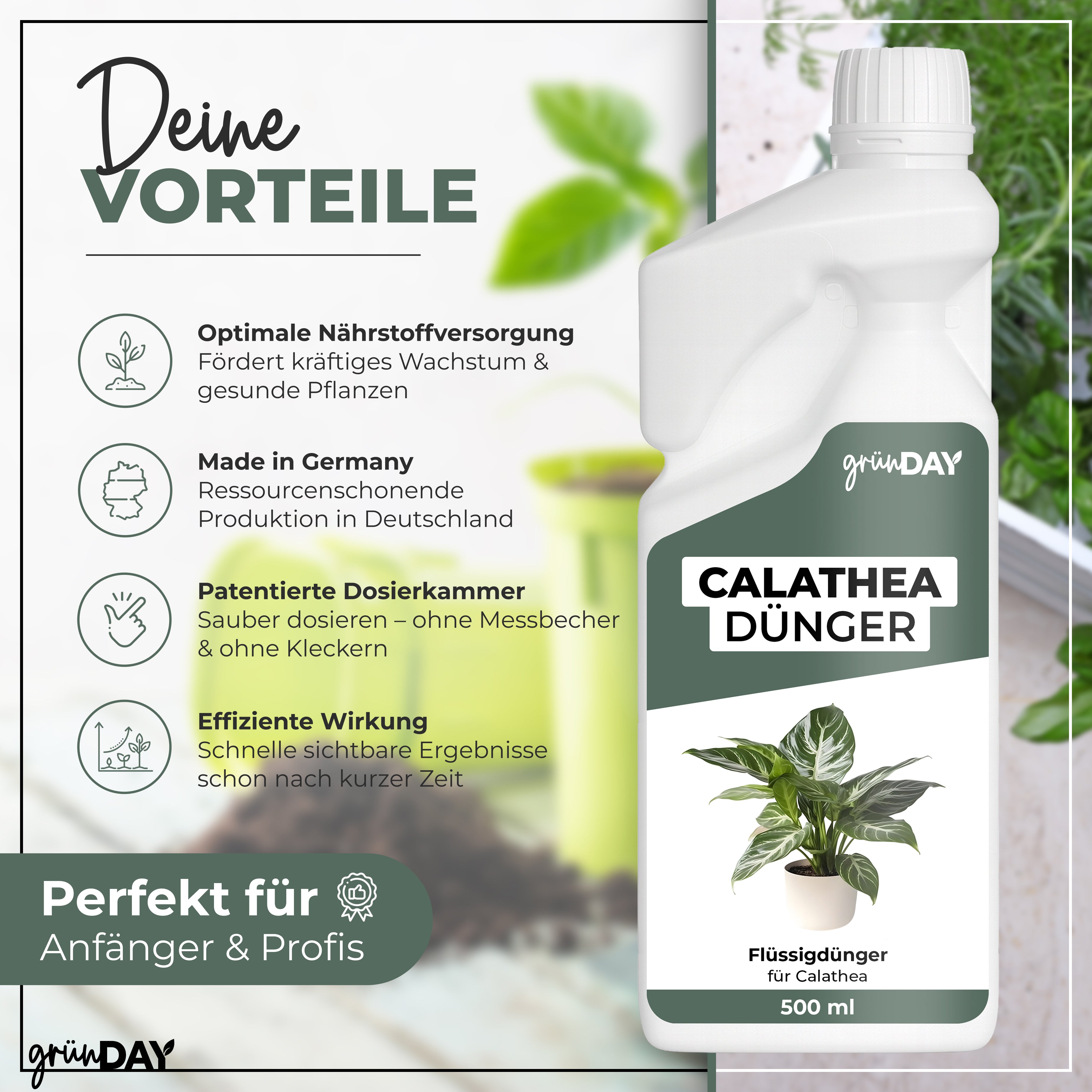 Gründay Calatheadünger – Produktansicht 2