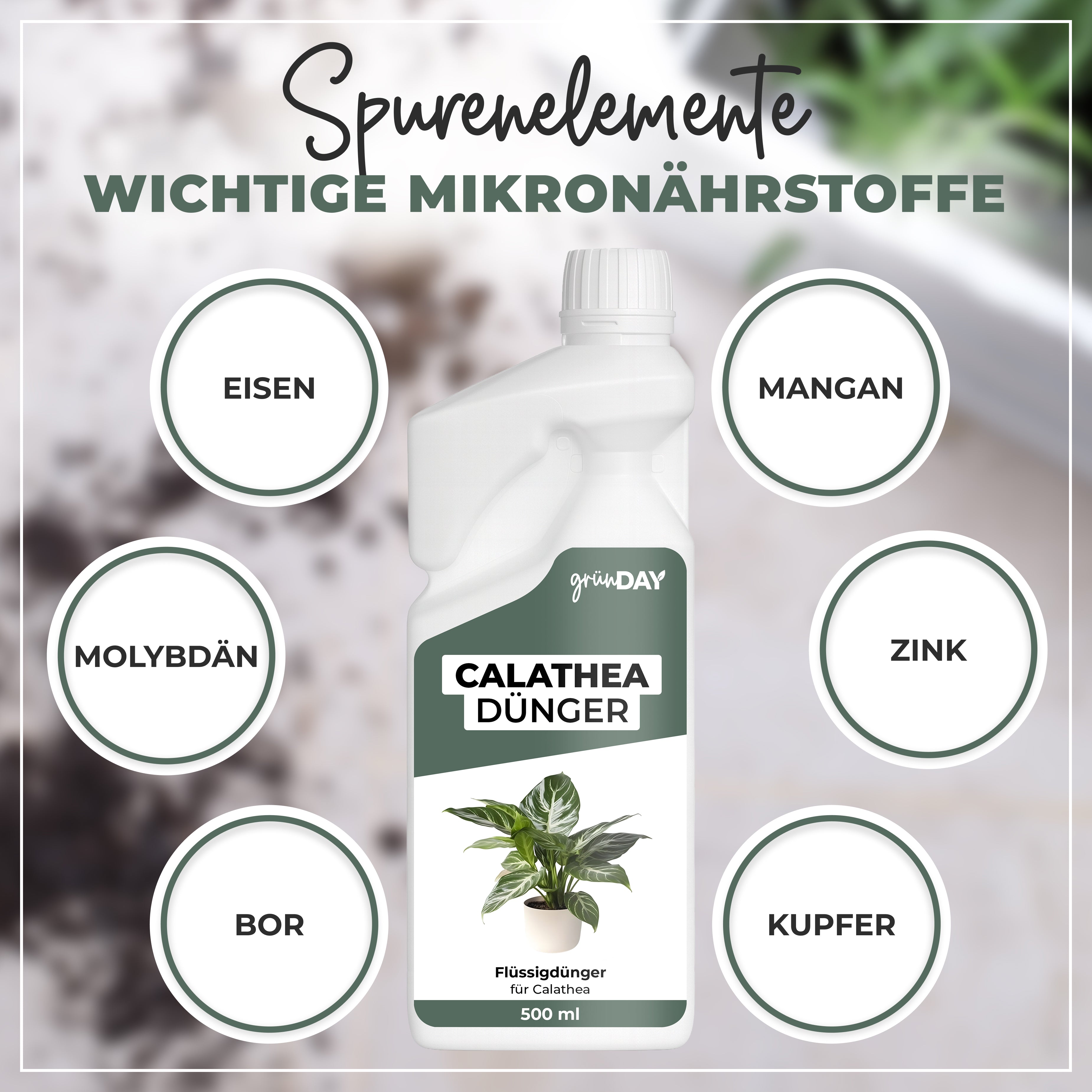 Gründay Calatheadünger – Produktansicht 5