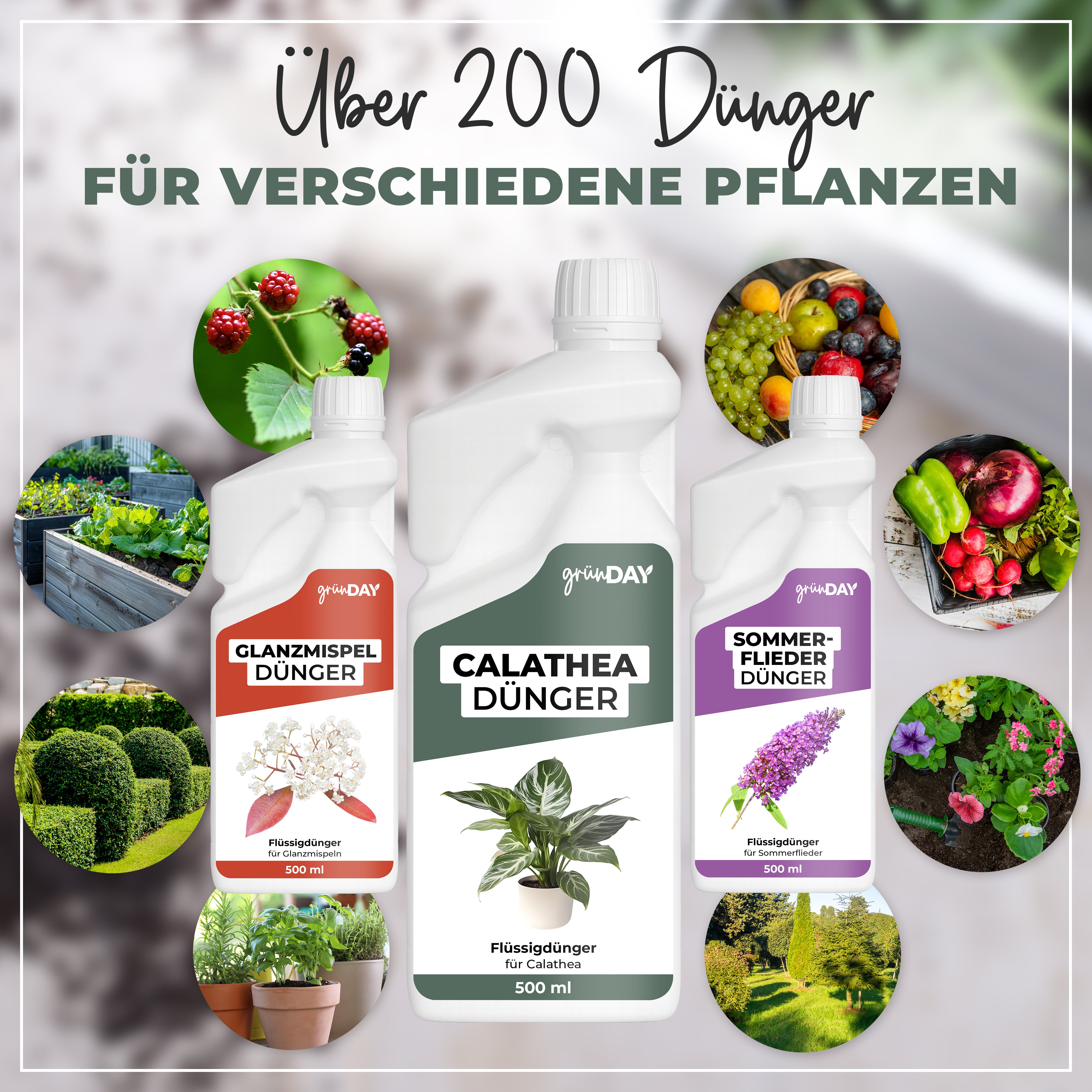 Gründay Calatheadünger – Produktansicht 7