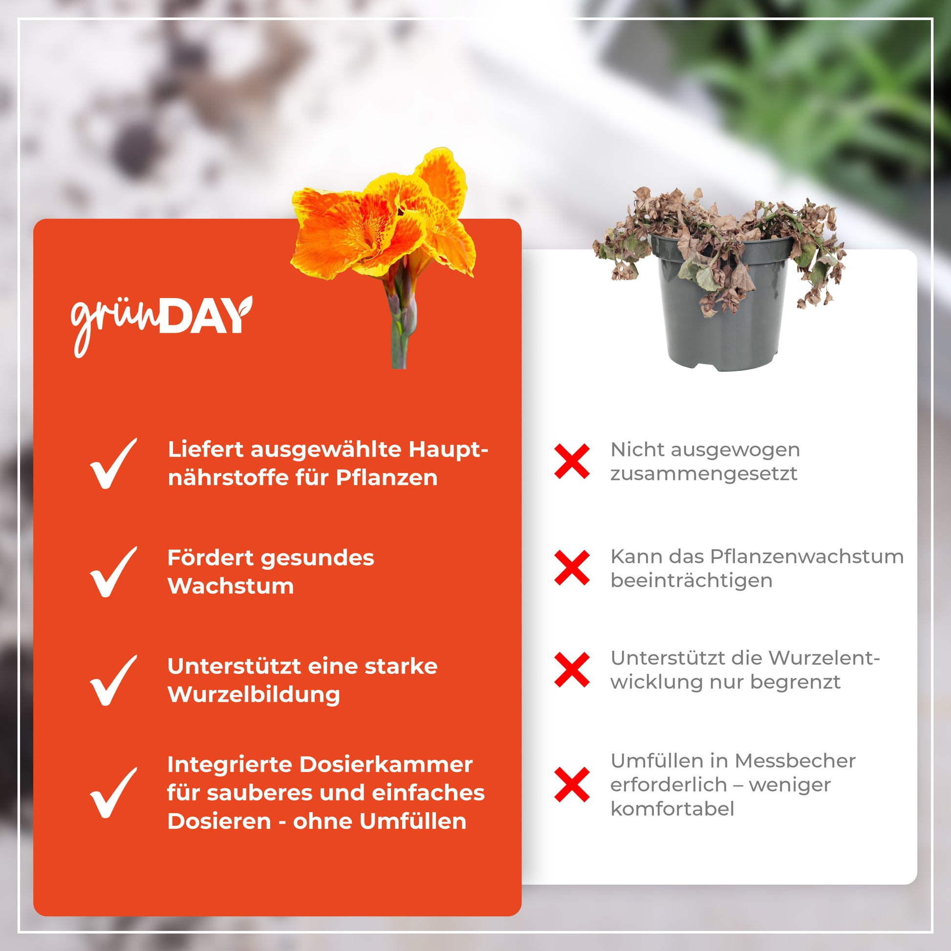 Gründay Cannadünger – Produktansicht 6