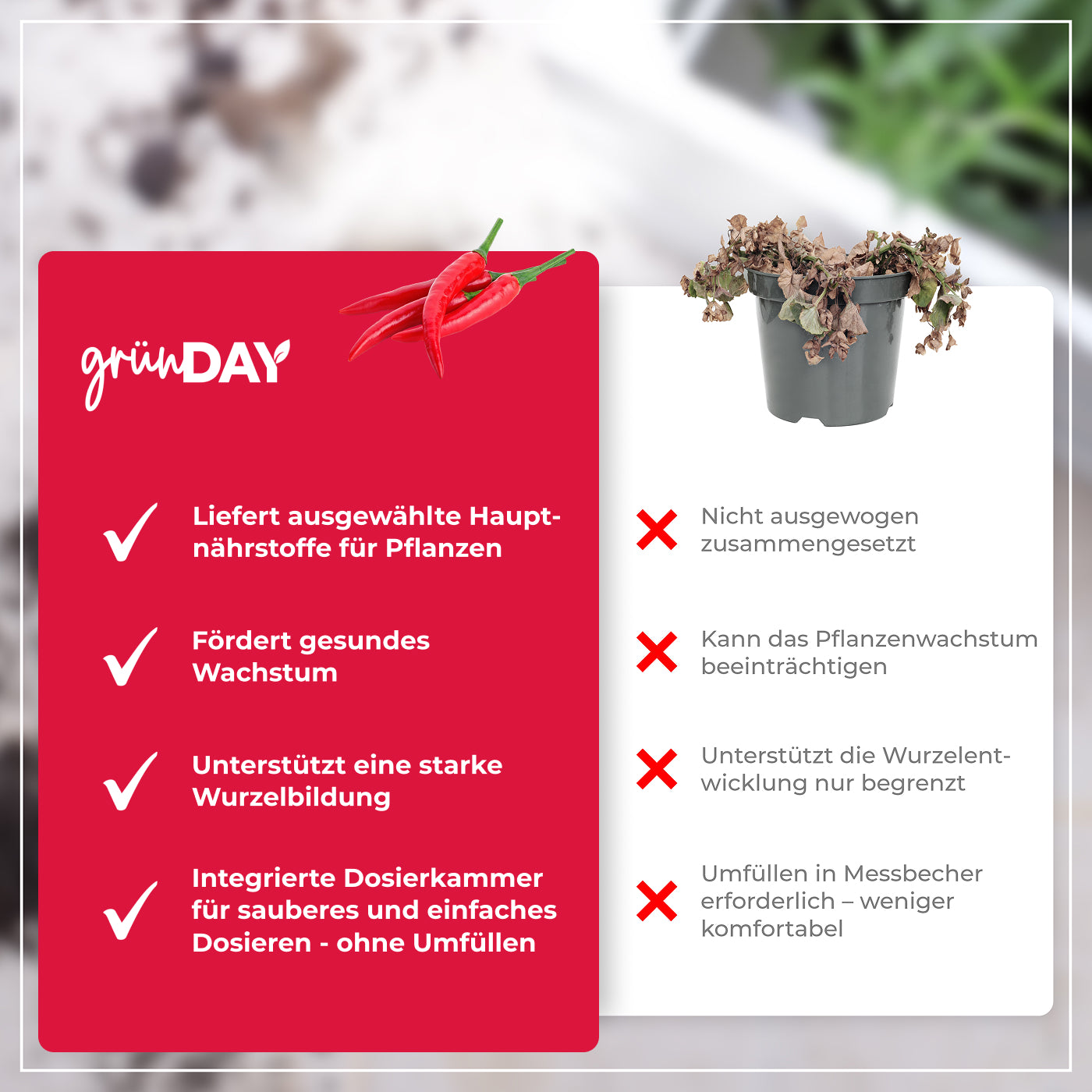 Gründay Chilidünger – Produktansicht 6