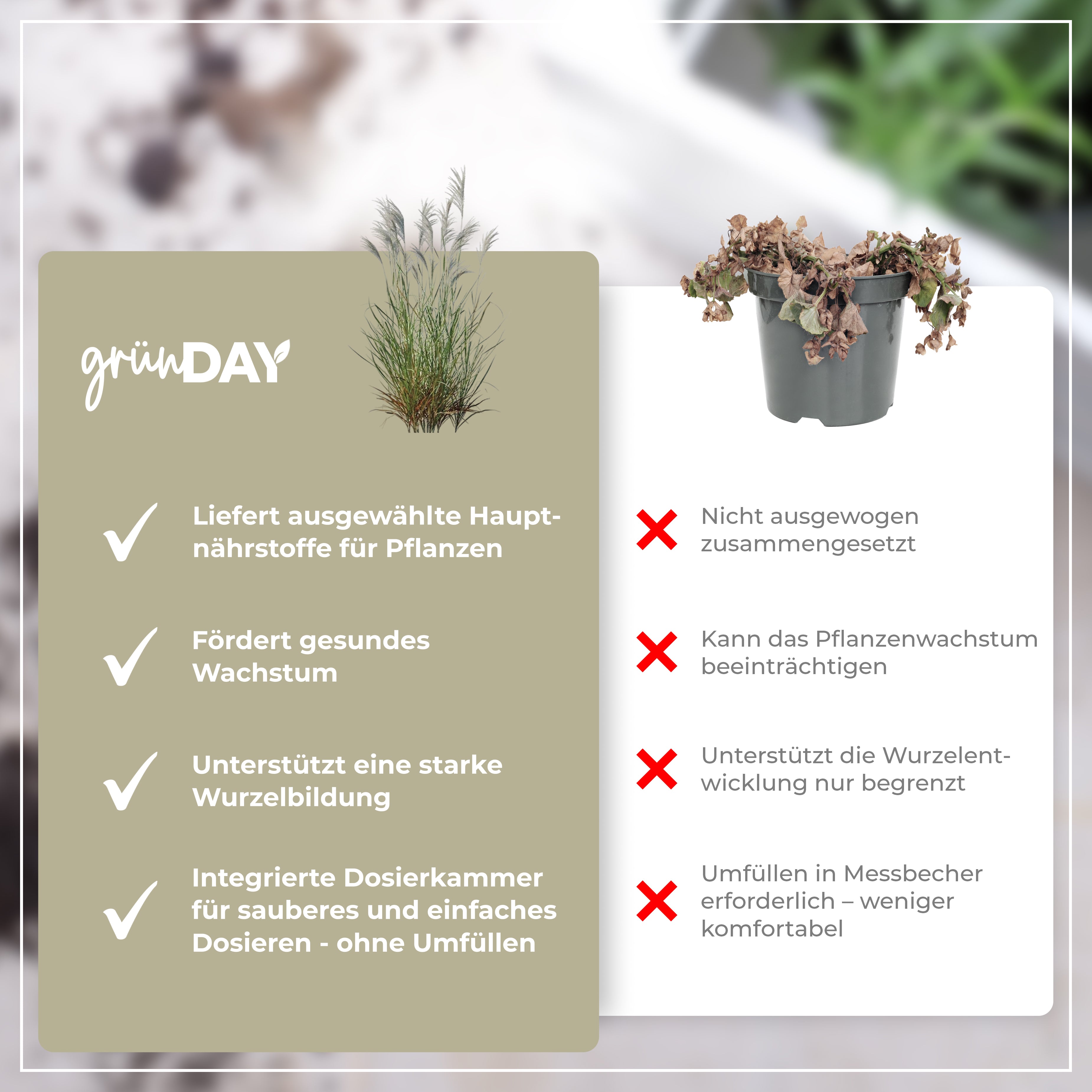 Gründay Chinaschilf Dünger – Produktansicht 6