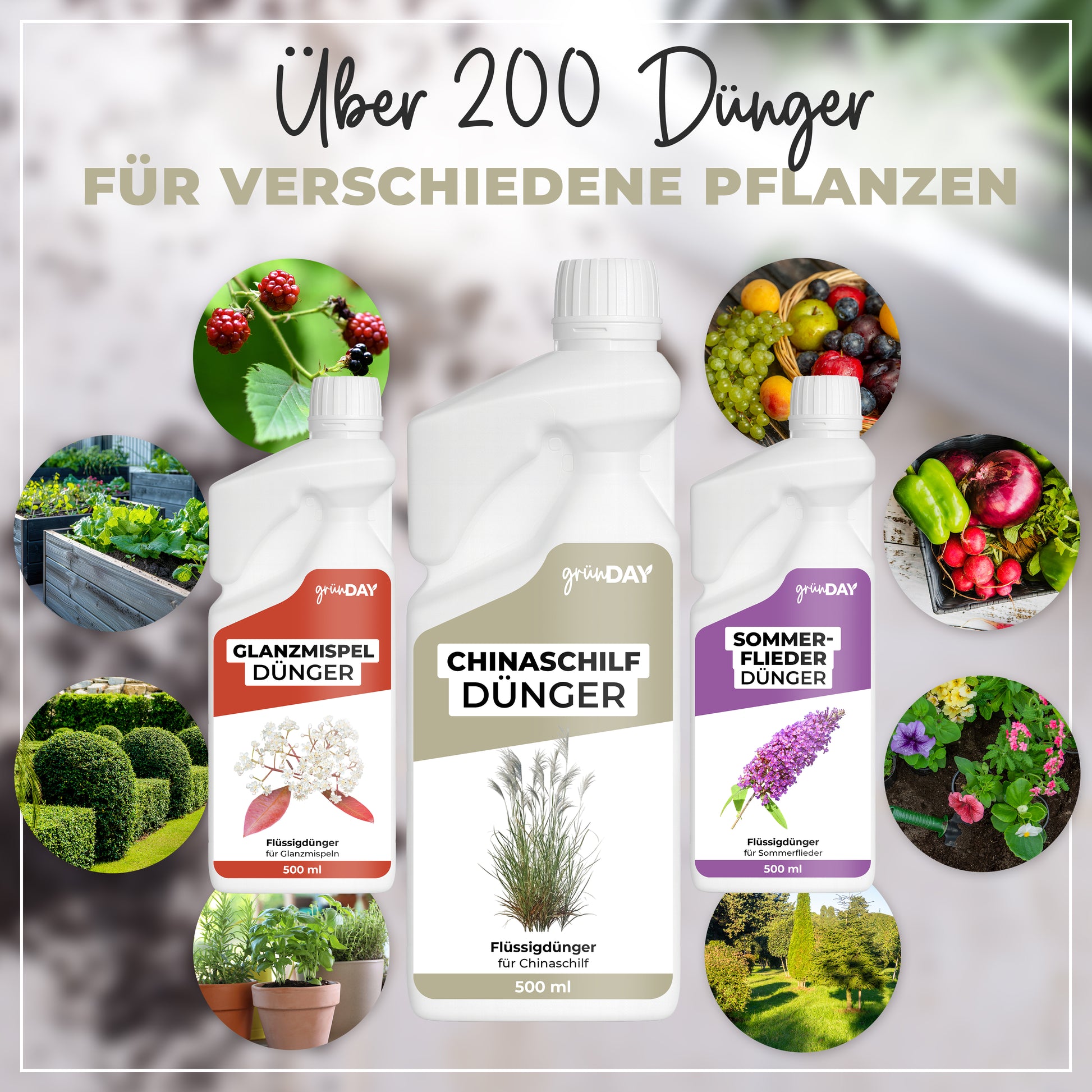 Gründay Chinaschilf Dünger – Produktansicht 7