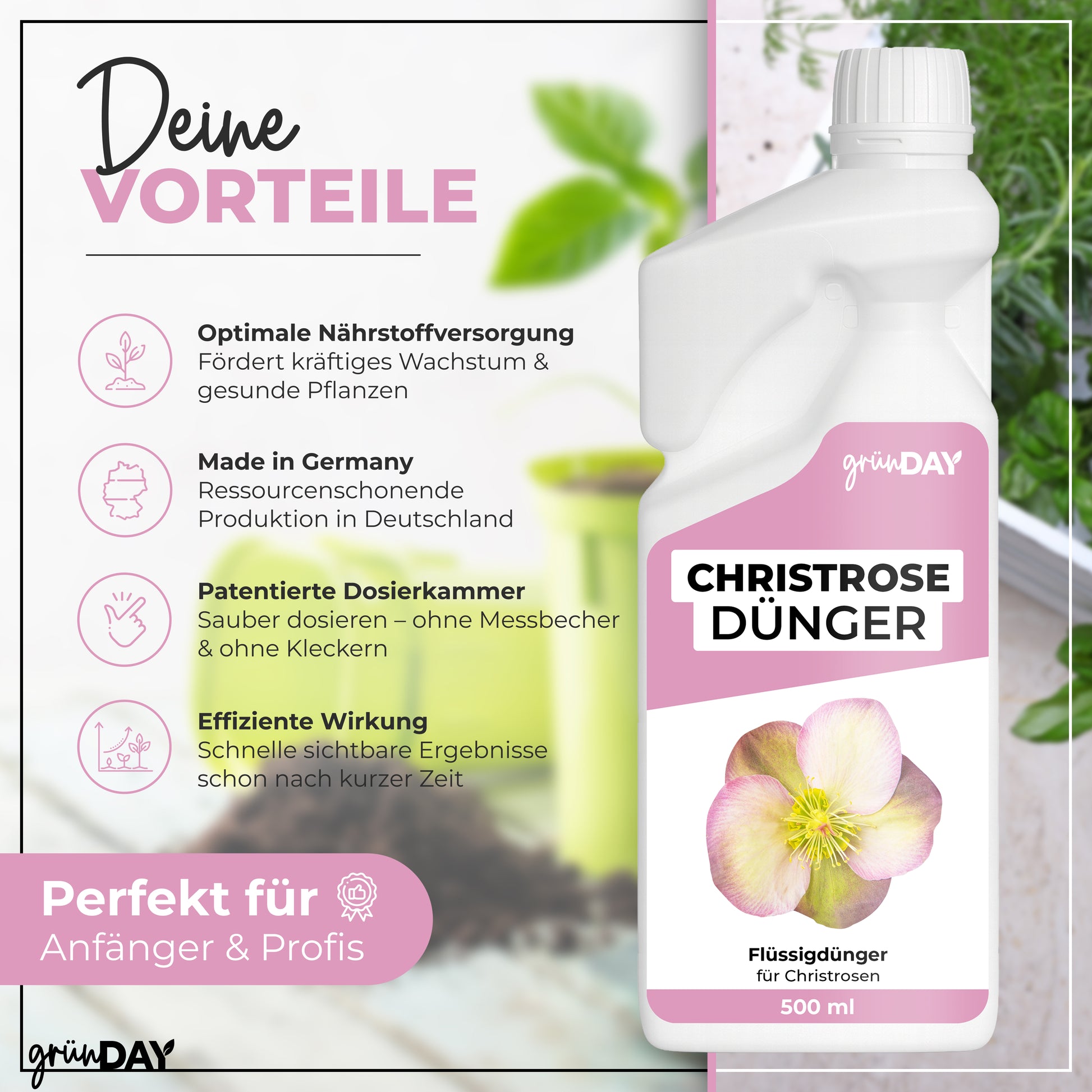 Gründay Christrosedünger – Produktansicht 2