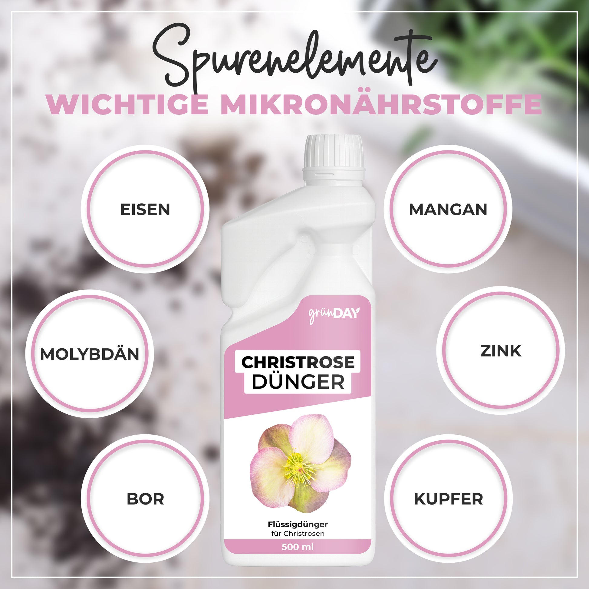 Gründay Christrosedünger – Produktansicht 5