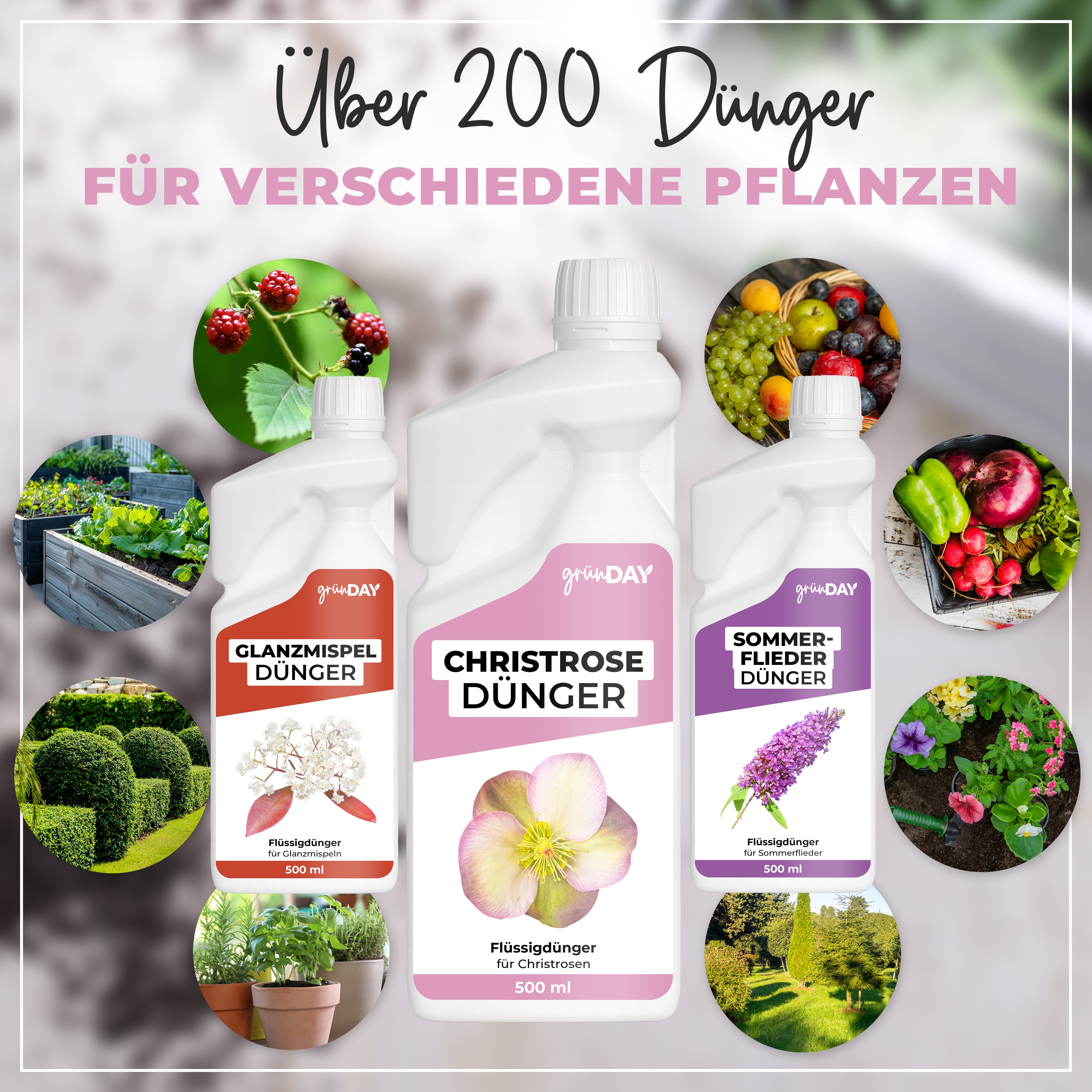 Gründay Christrosedünger – Produktansicht 7