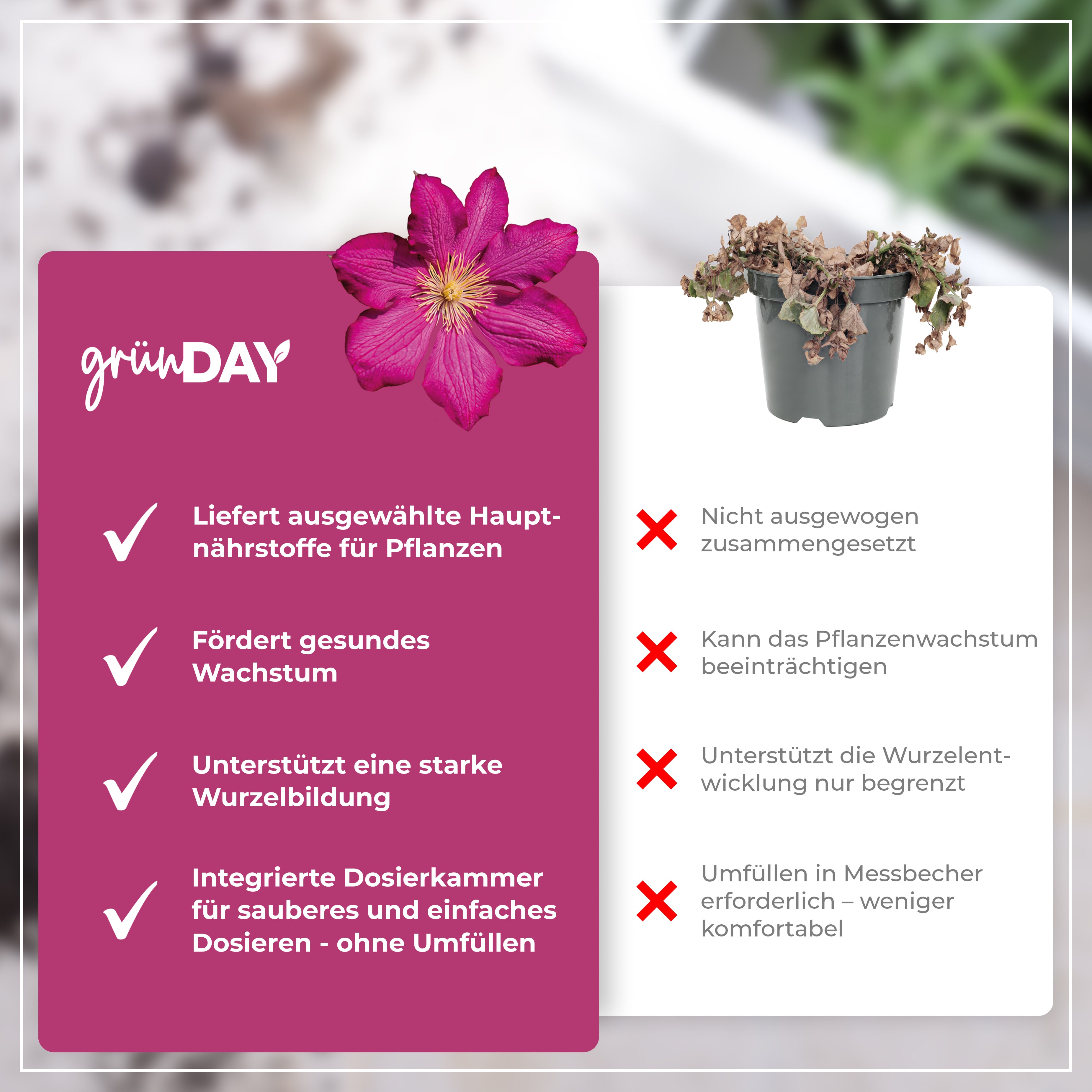Gründay Clematisdünger – Produktansicht 6