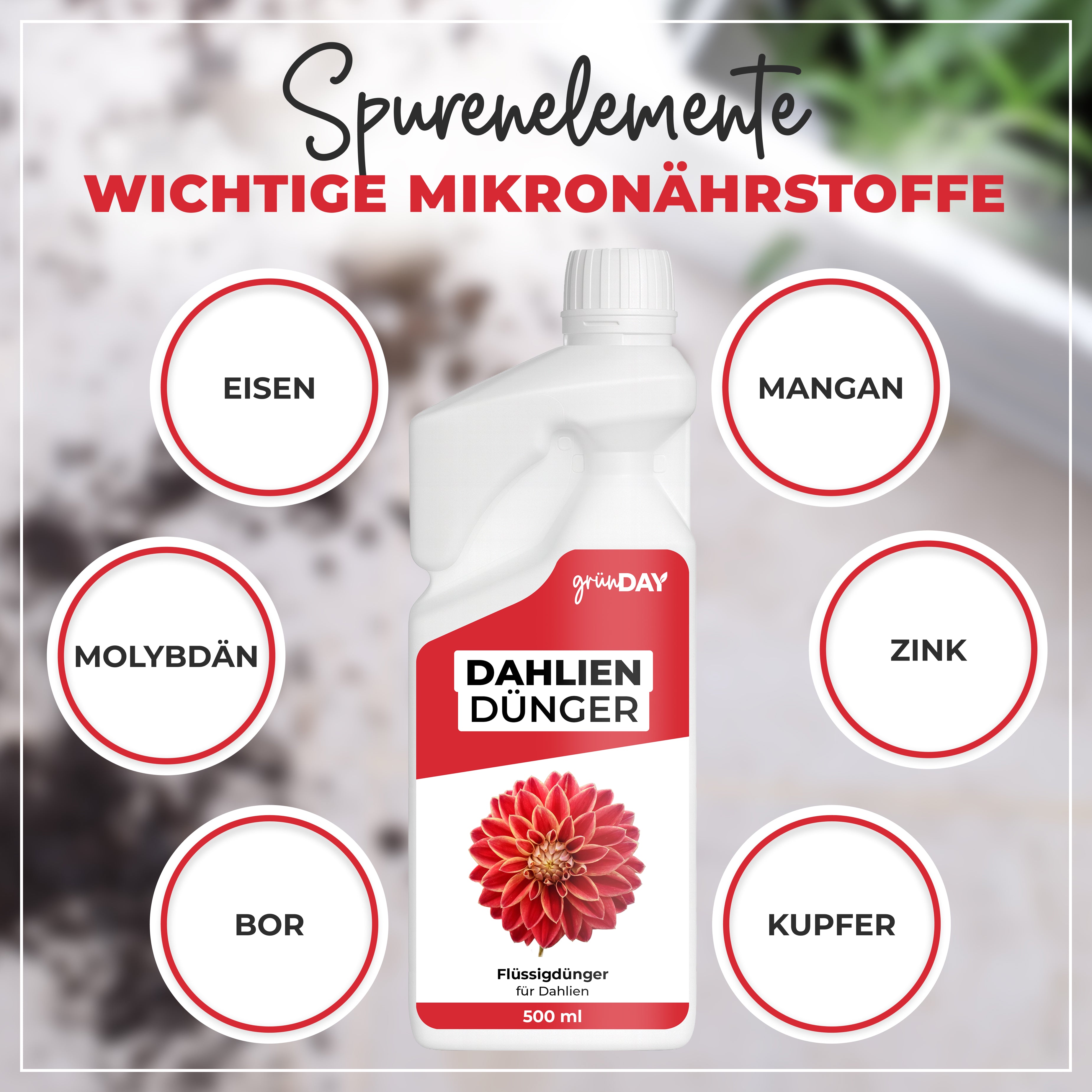 Gründay Dahliendünger – Produktansicht 5