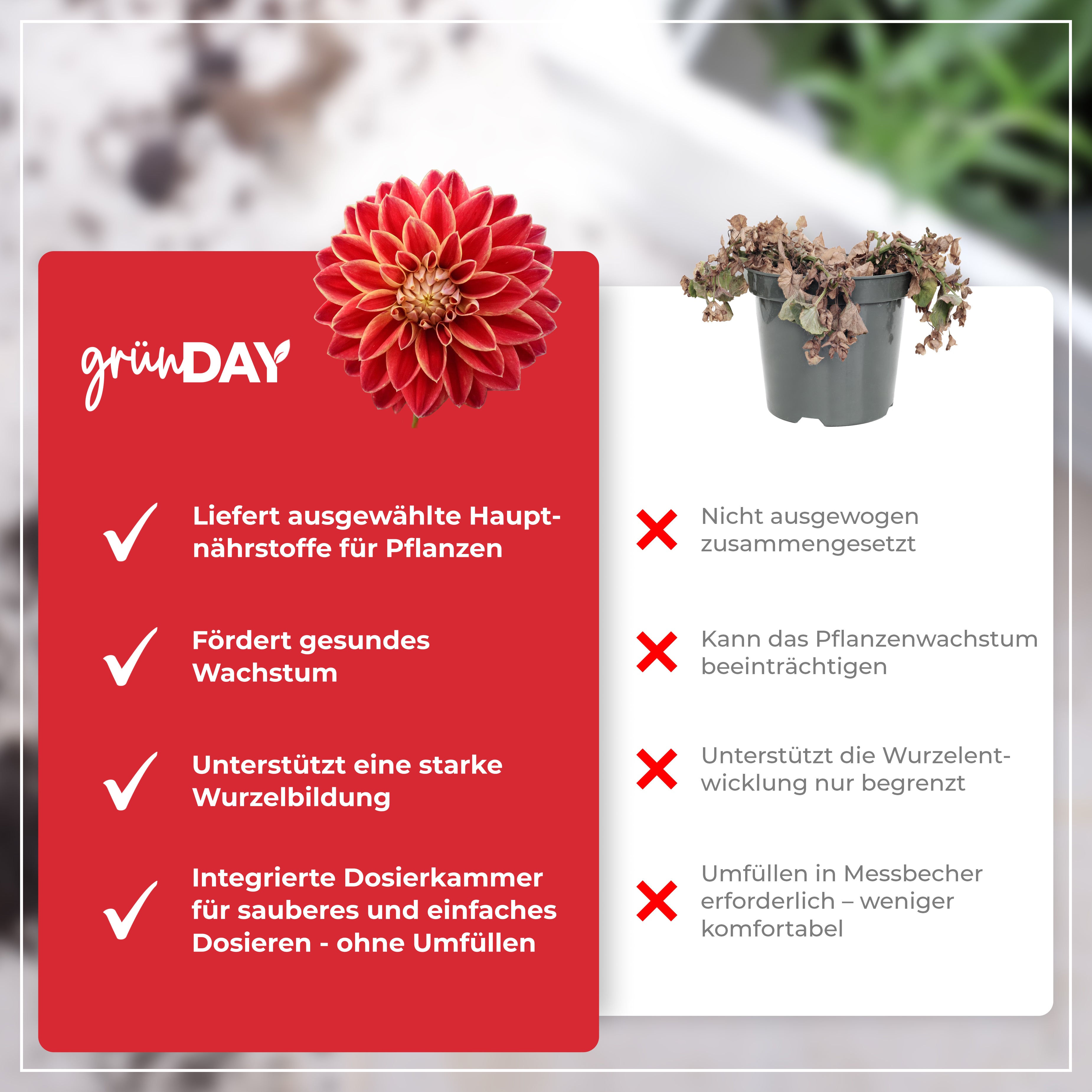 Gründay Dahliendünger – Produktansicht 6