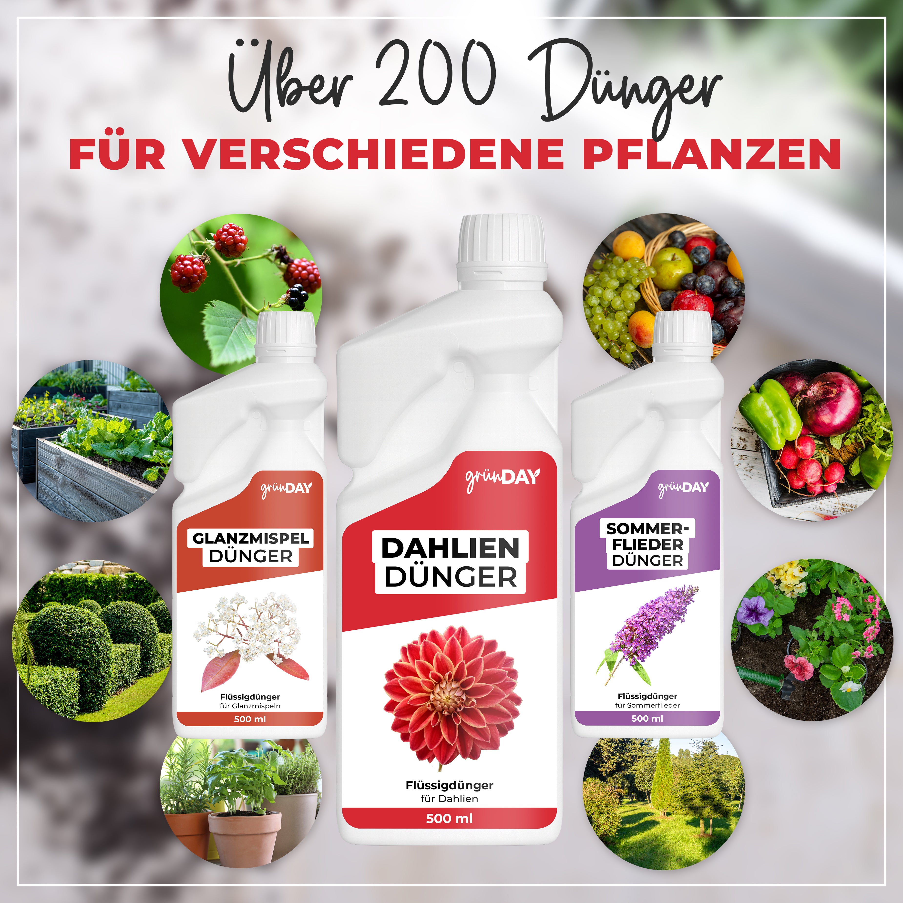 Gründay Dahliendünger – Produktansicht 7