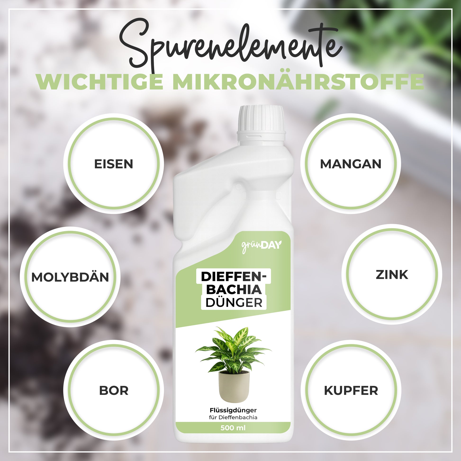 Gründay Dieffenbachia Dünger – Produktansicht 5