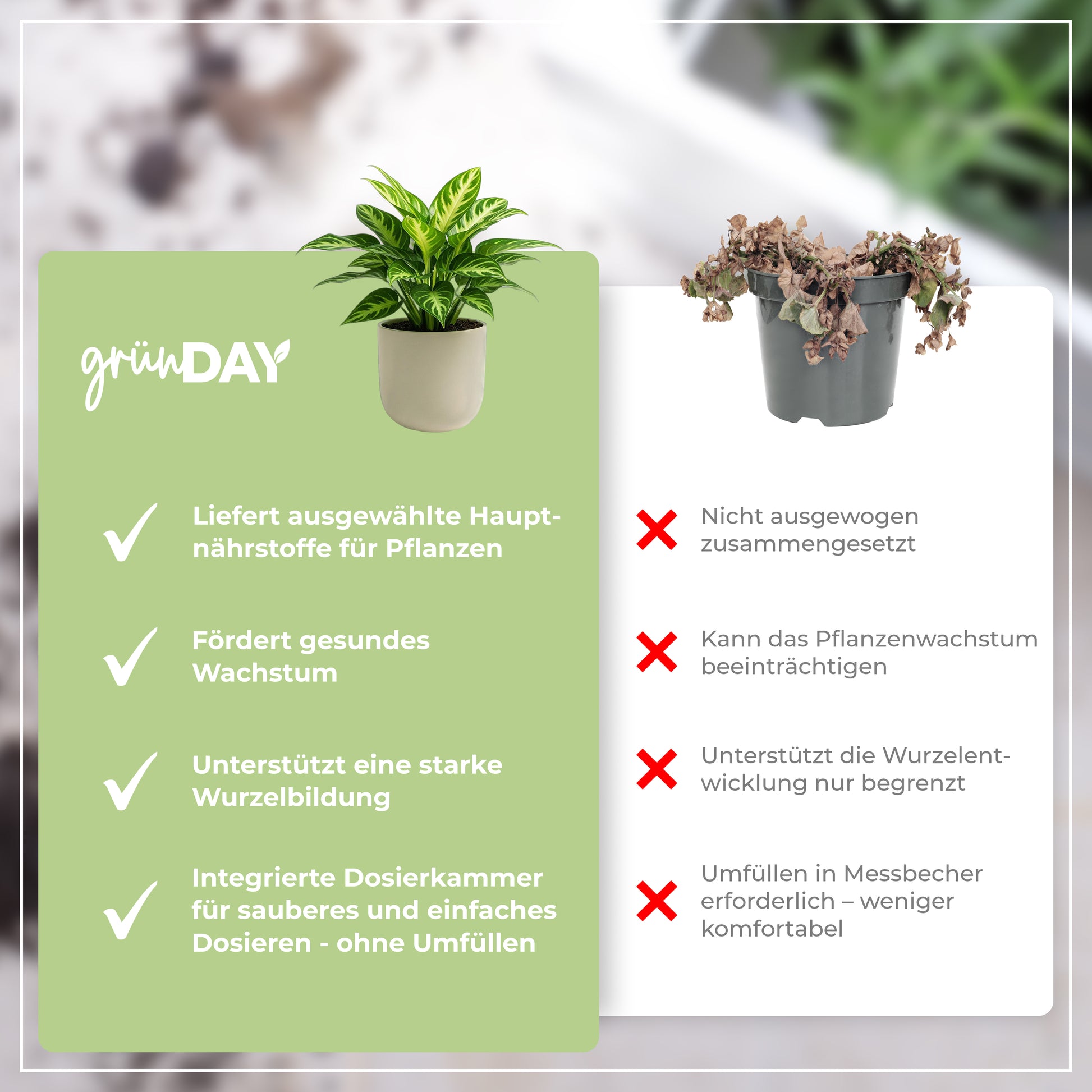 Gründay Dieffenbachia Dünger – Produktansicht 6