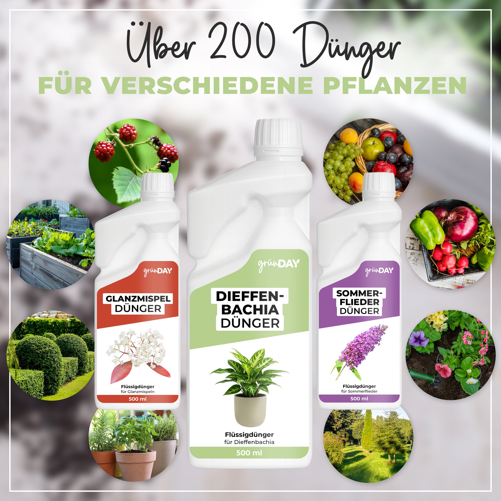 Gründay Dieffenbachia Dünger – Produktansicht 7
