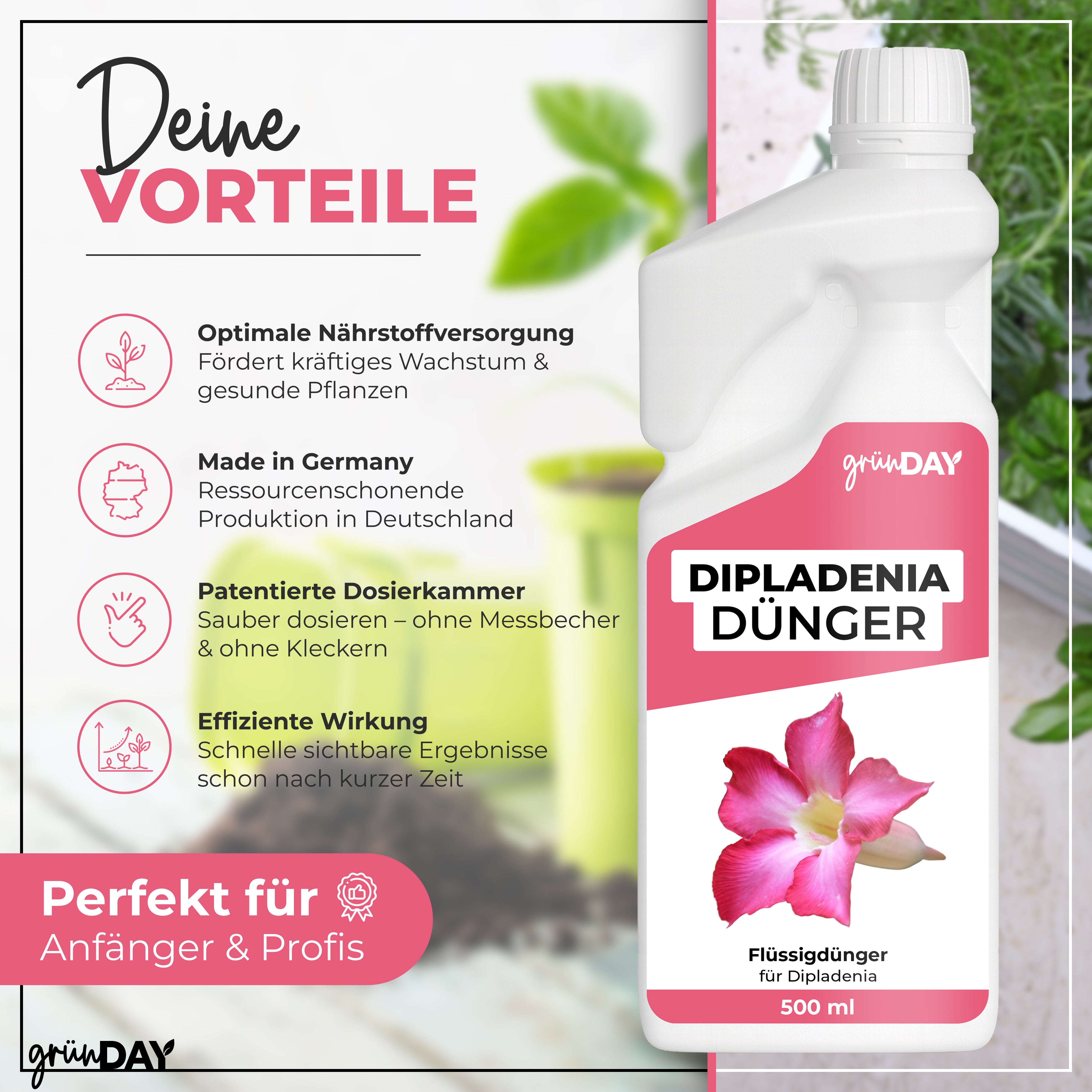 Gründay Dipladeniadünger – Produktansicht 2