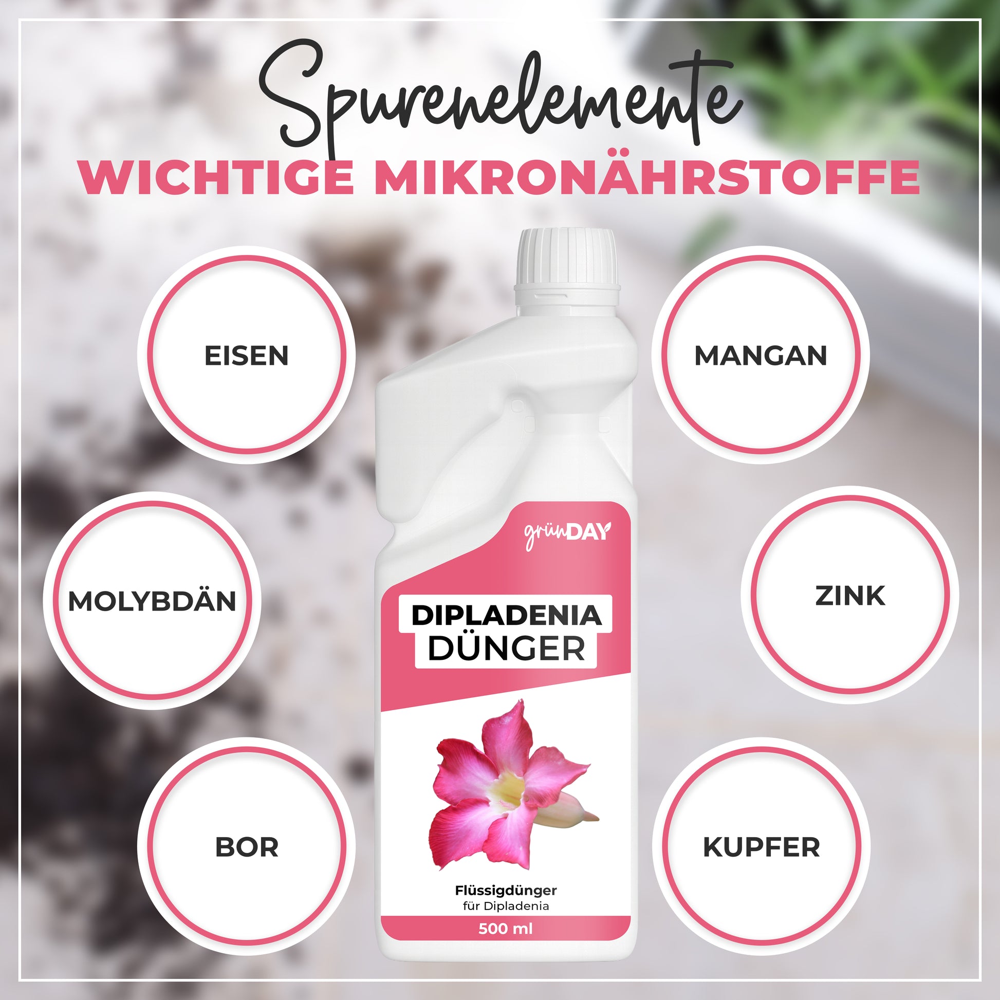 Gründay Dipladeniadünger – Produktansicht 5