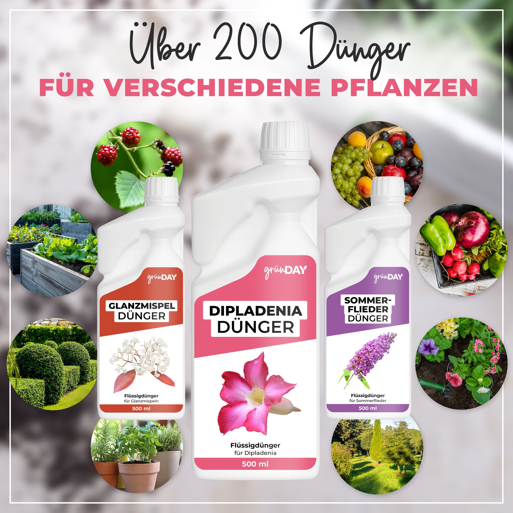 Gründay Dipladeniadünger – Produktansicht 7