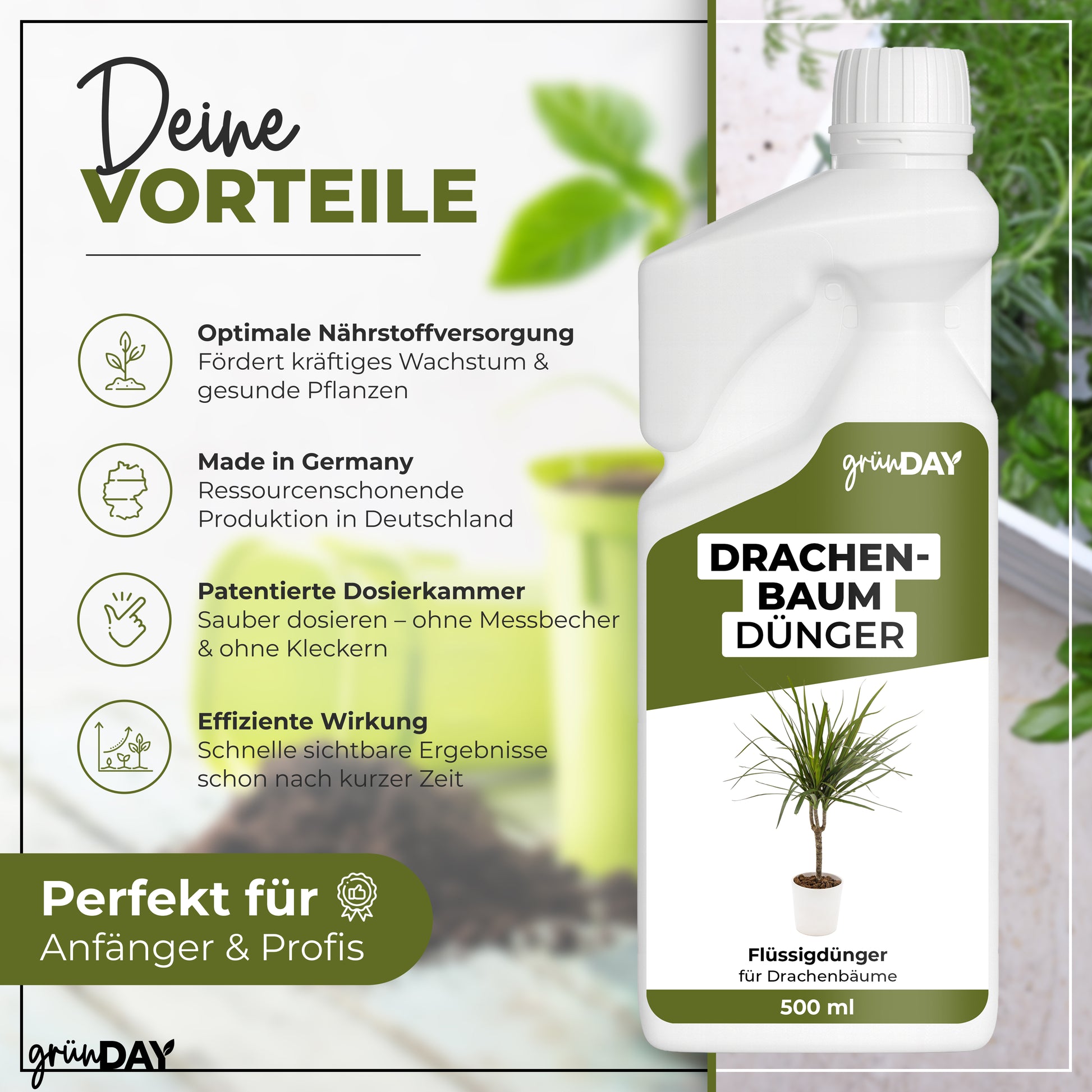 Gründay Drachenbaumdünger – Produktansicht 2