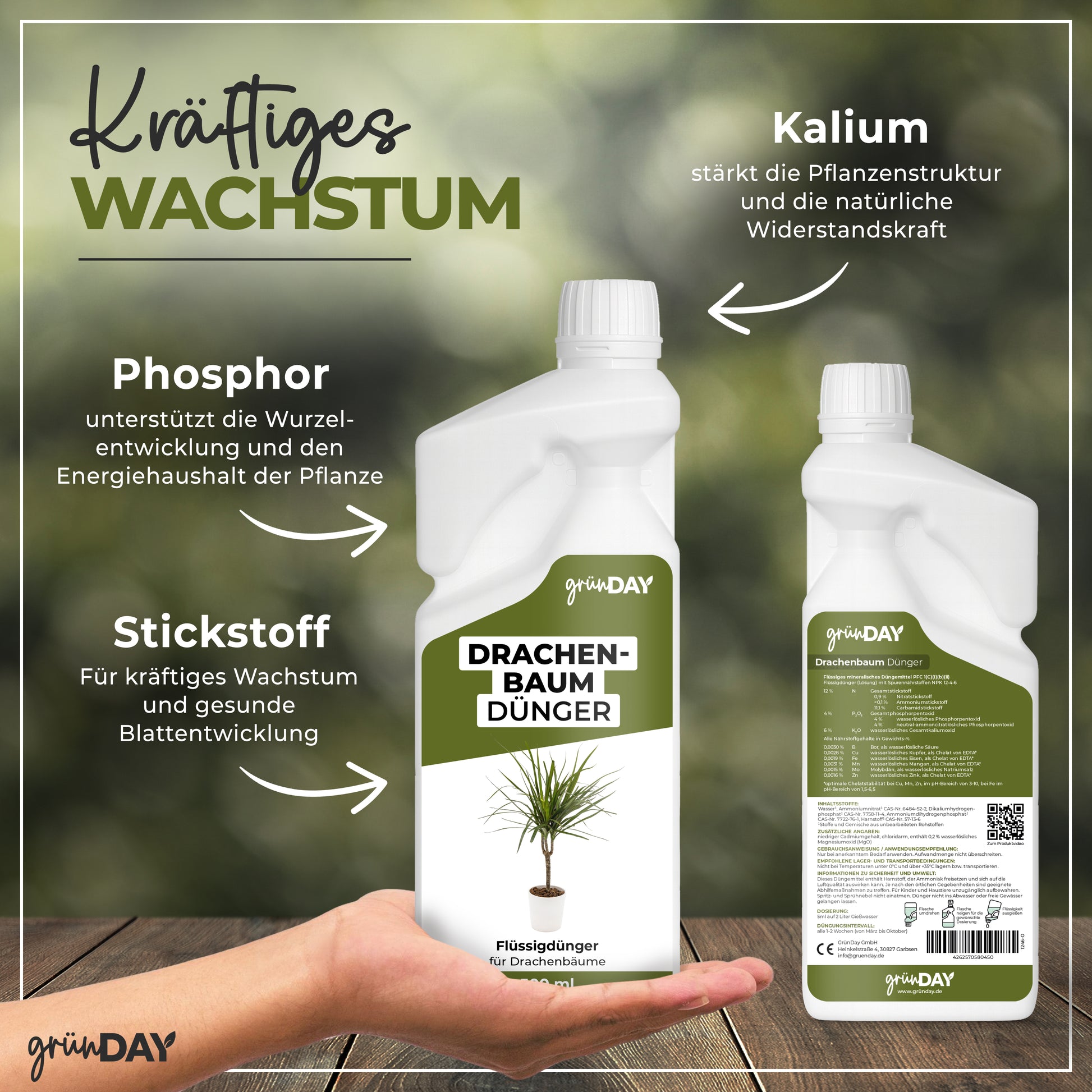 Gründay Drachenbaumdünger – Produktansicht 4