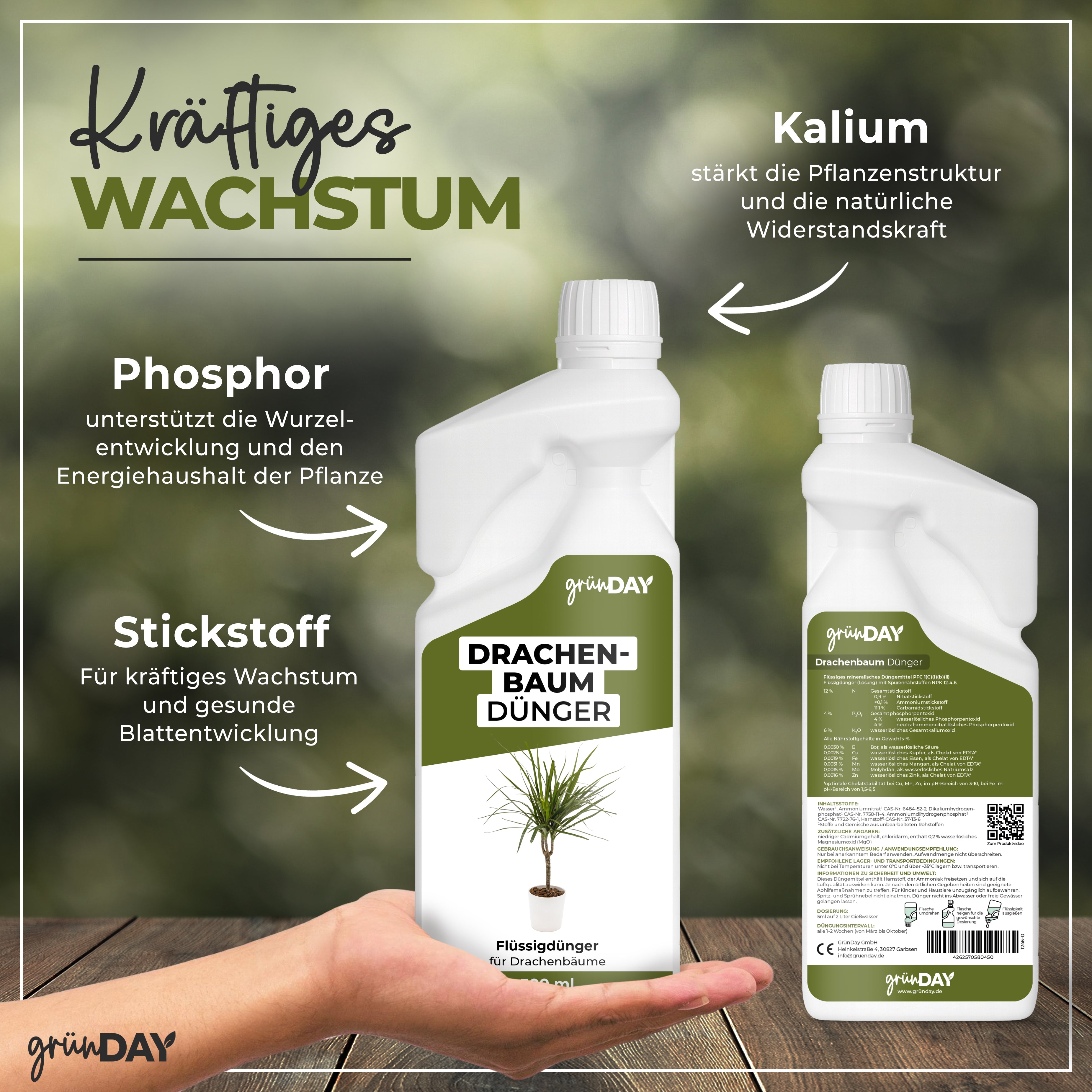Gründay Drachenbaumdünger – Produktansicht 4