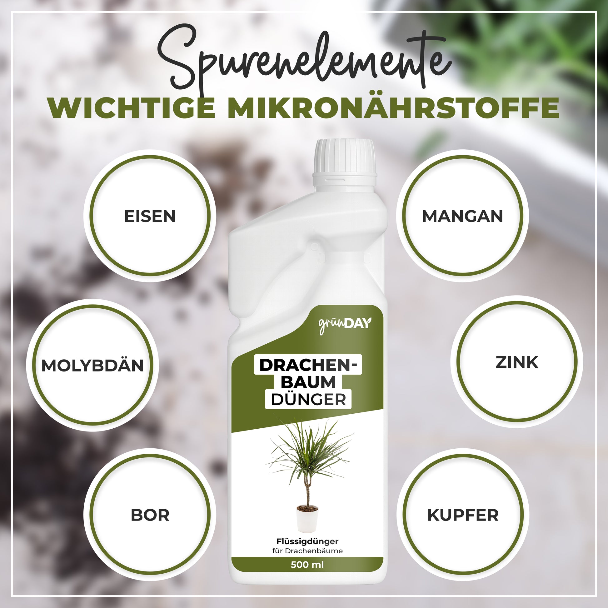 Gründay Drachenbaumdünger – Produktansicht 5