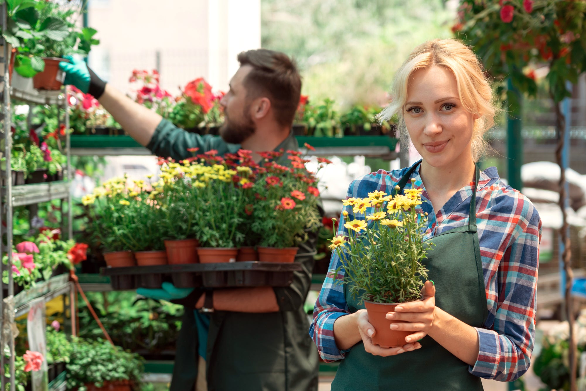 Gründay Pflanzendünger
