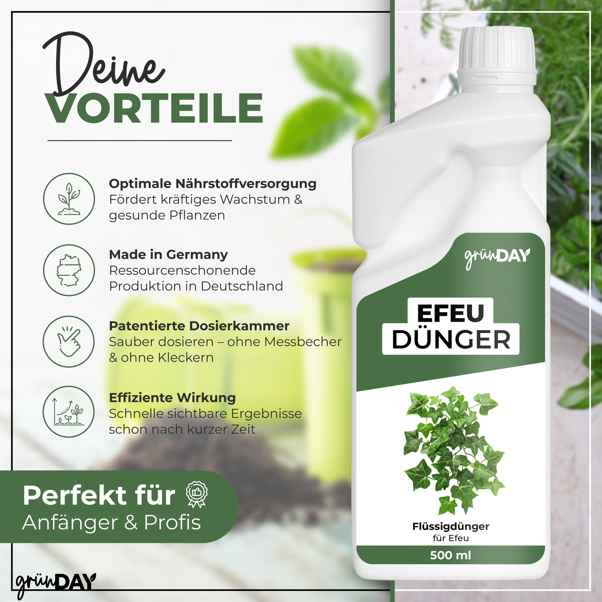 Gründay Efeudünger – Produktansicht 2
