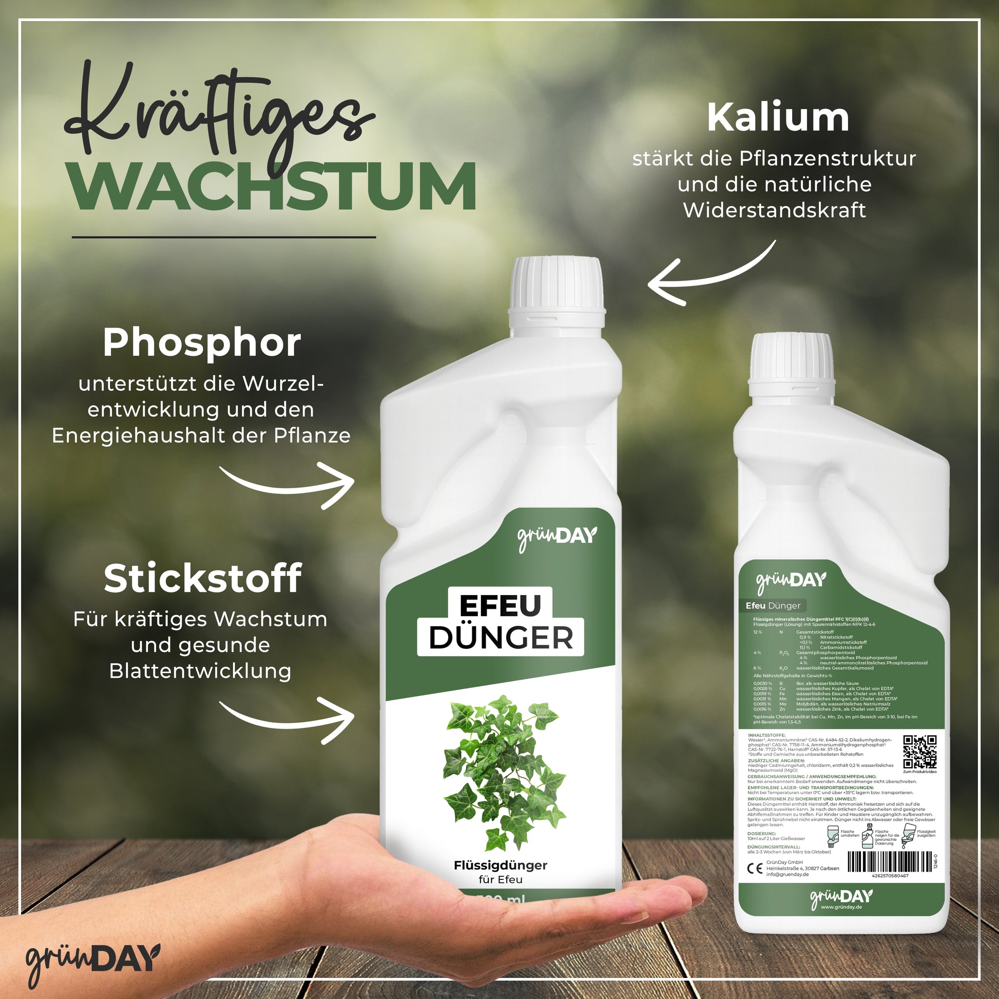 Gründay Efeudünger – Produktansicht 4
