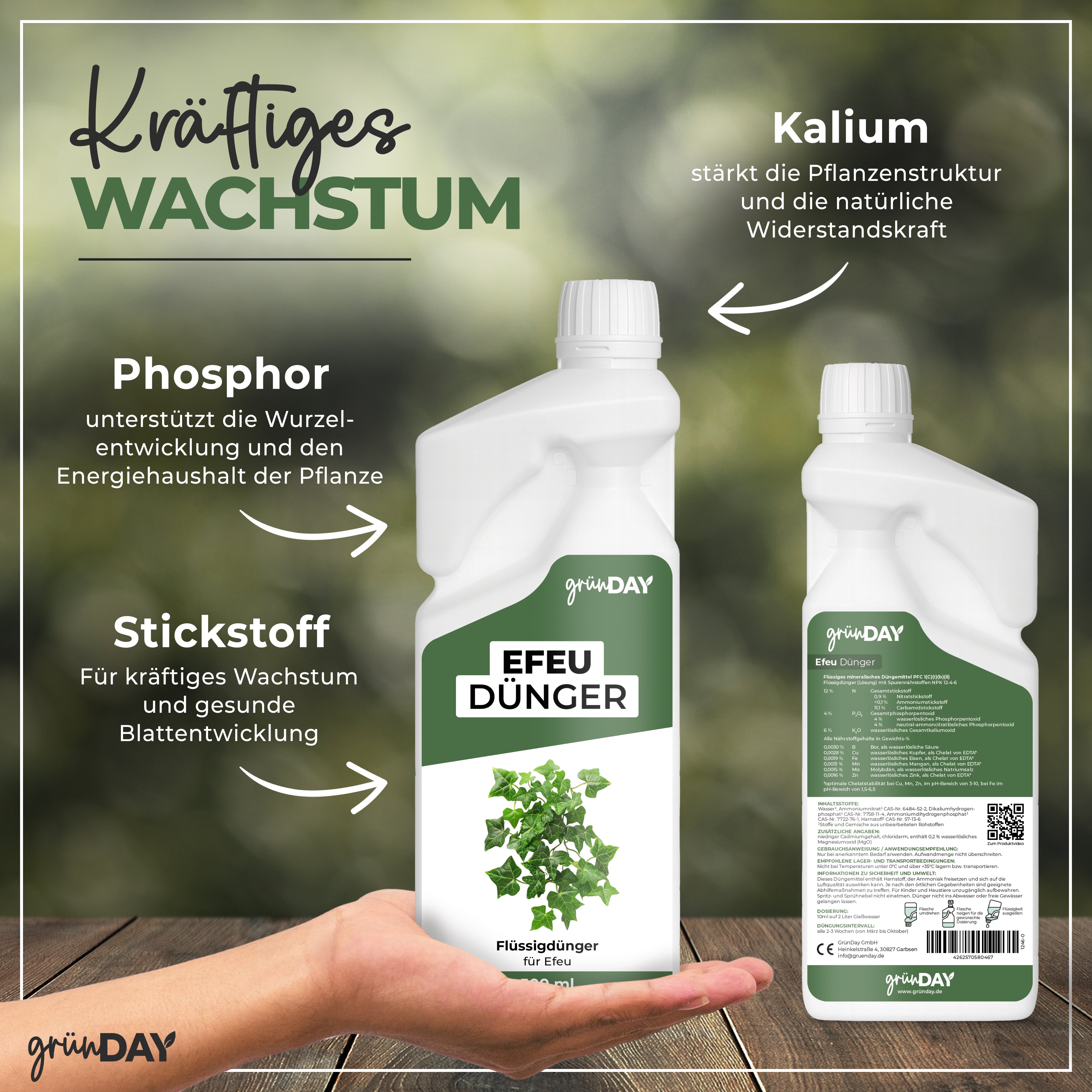 Gründay Efeudünger – Produktansicht 4