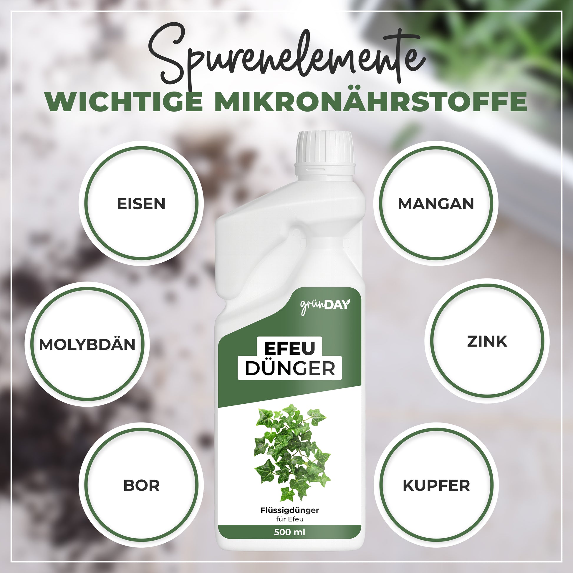 Gründay Efeudünger – Produktansicht 5
