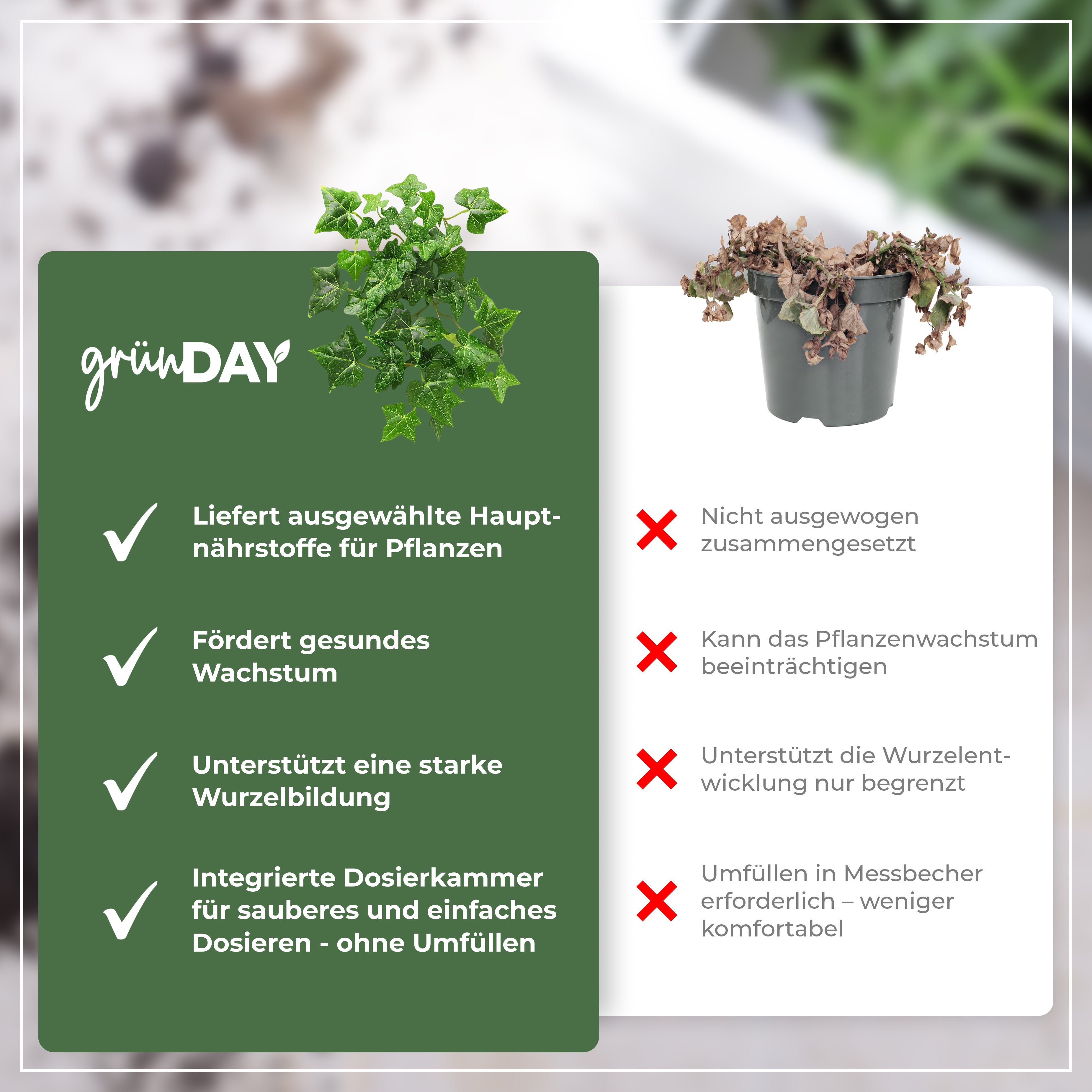 Gründay Efeudünger – Produktansicht 6