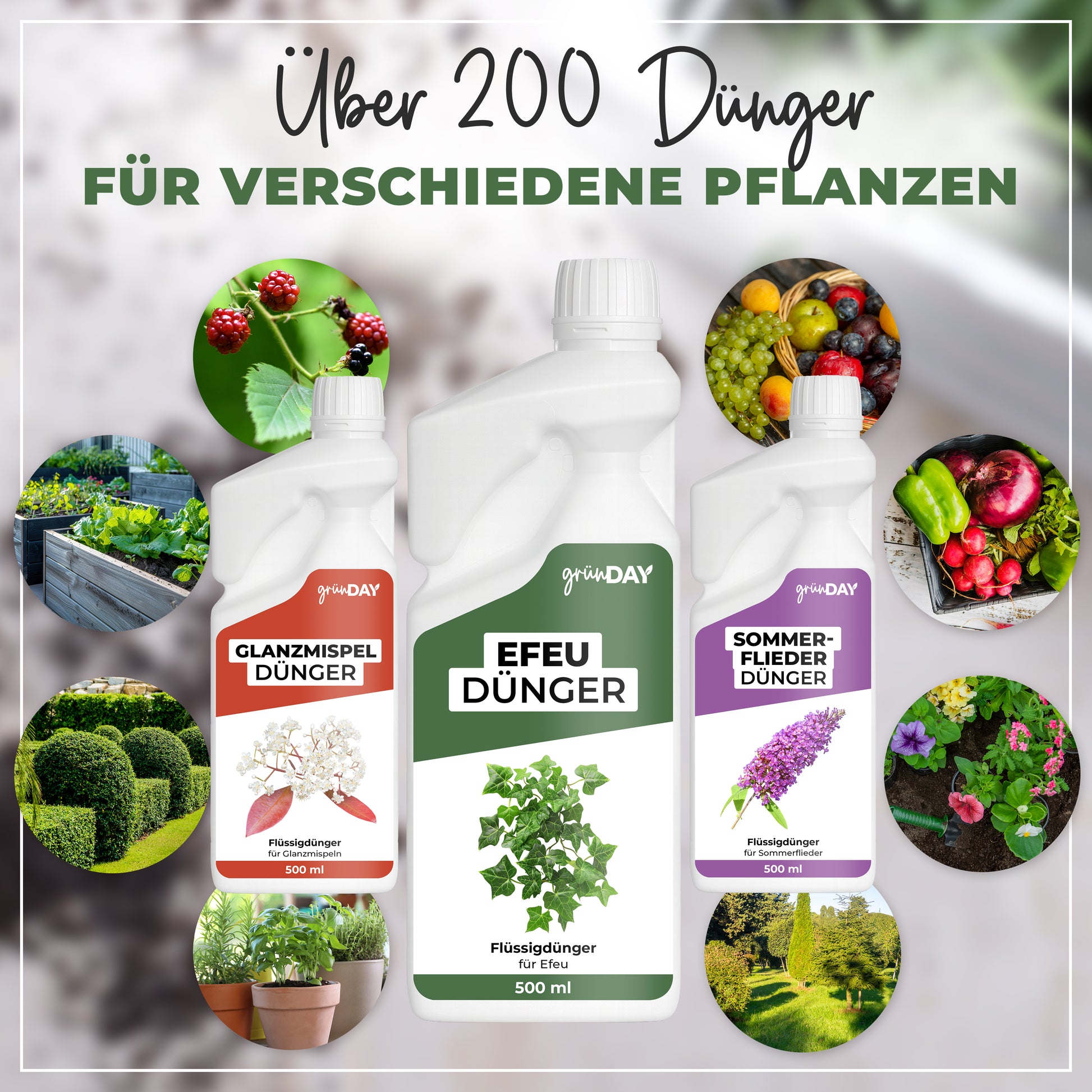 Gründay Efeudünger – Produktansicht 7