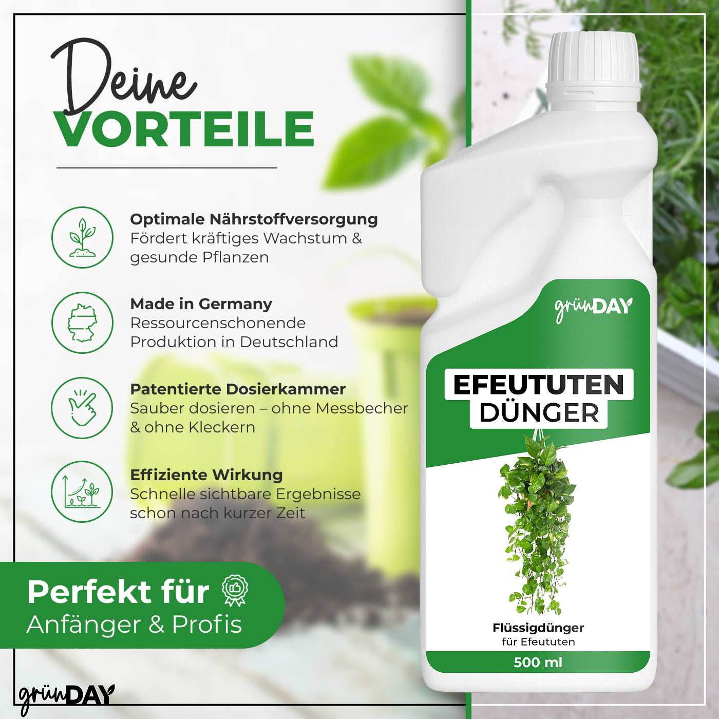 Gründay Efeututendünger – Produktansicht 2