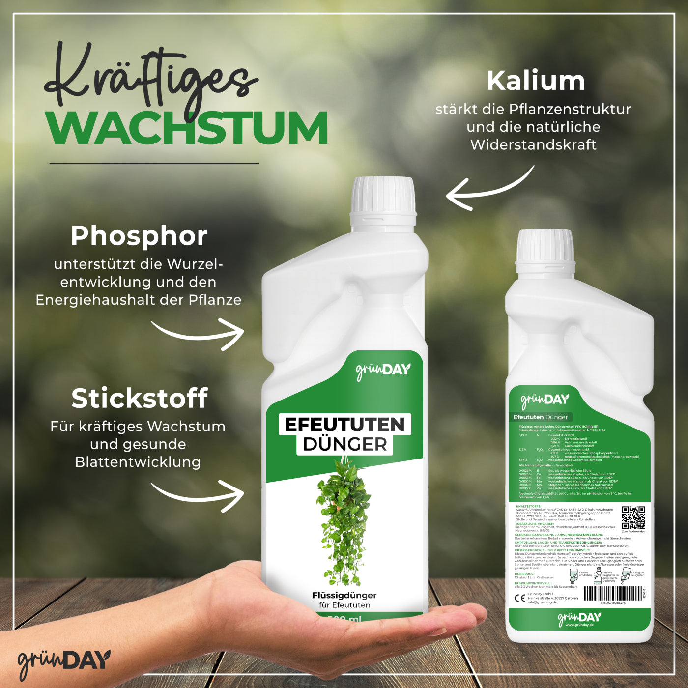 Gründay Efeututendünger – Produktansicht 4