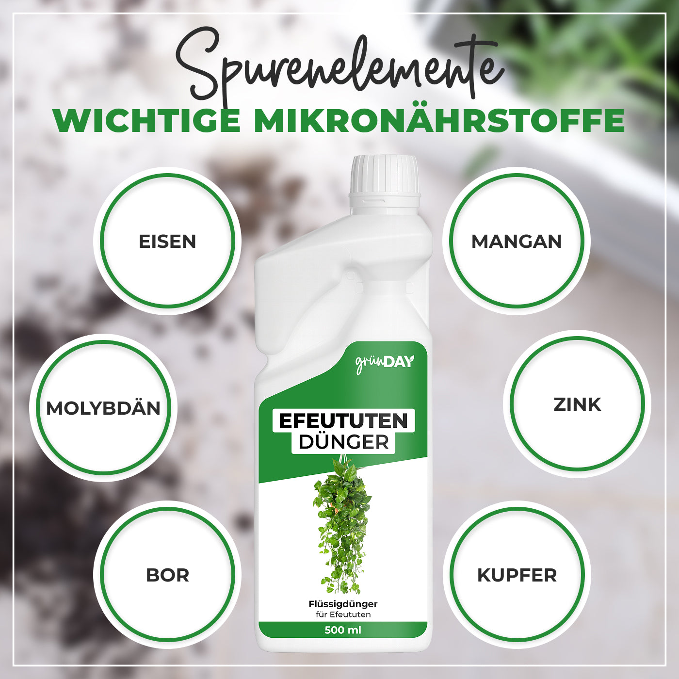 Gründay Efeututendünger – Produktansicht 5