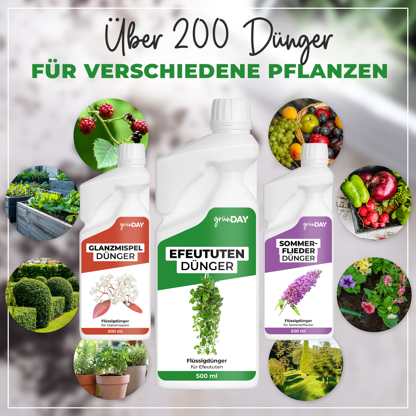 Gründay Efeututendünger – Produktansicht 7