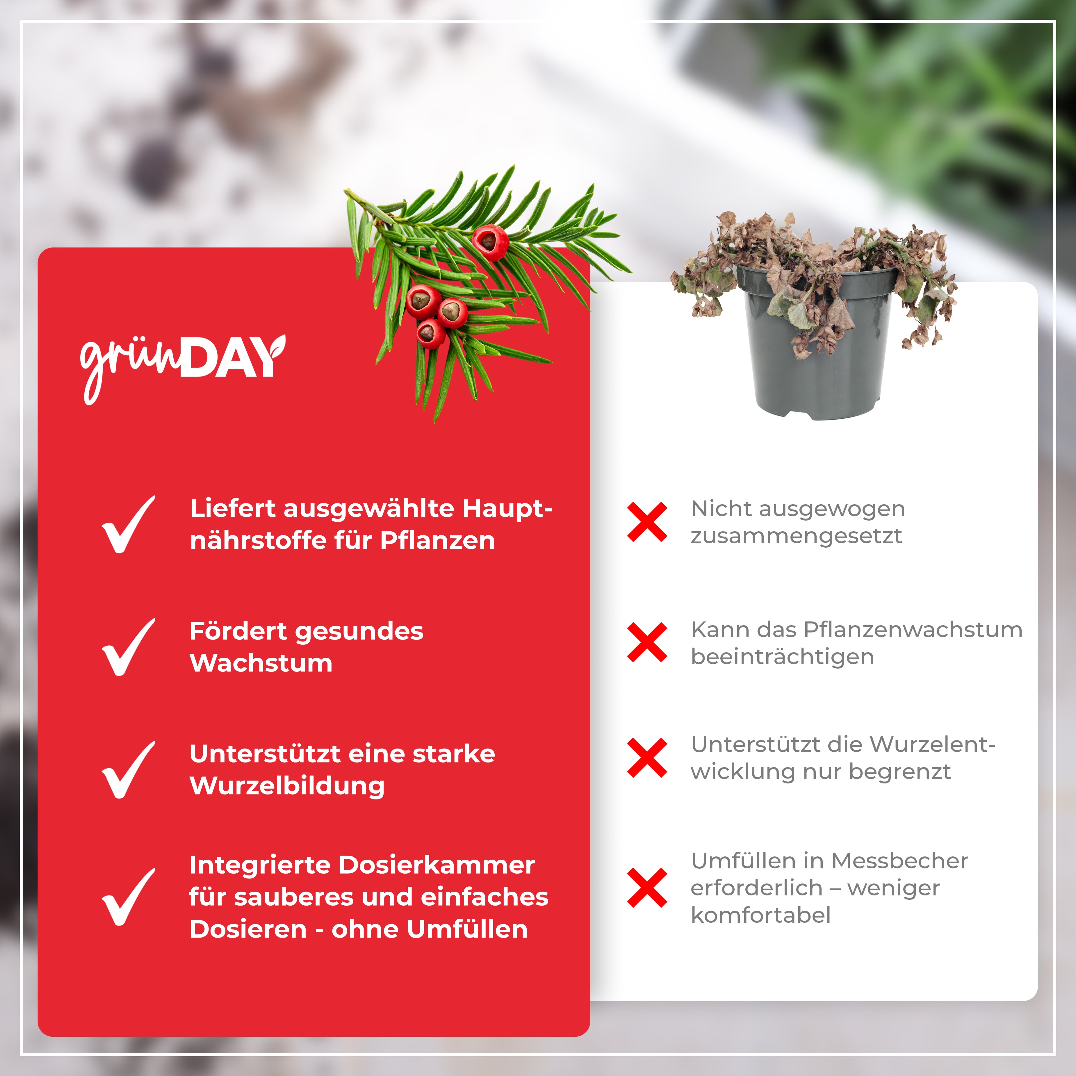 Gründay Eibendünger – Produktansicht 6